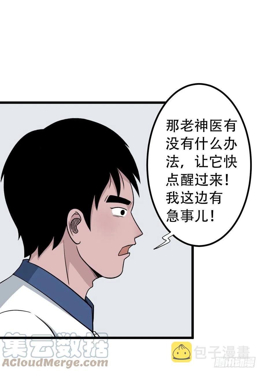 金蟾衣9