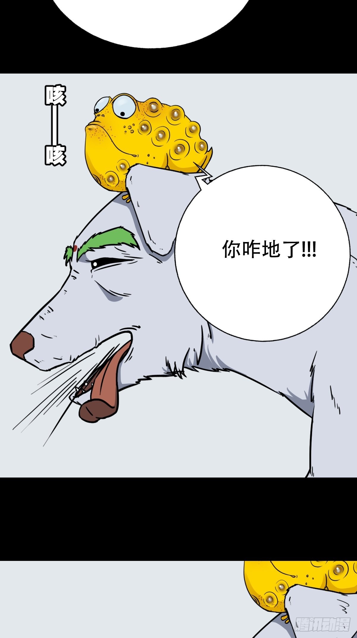 狗宝37