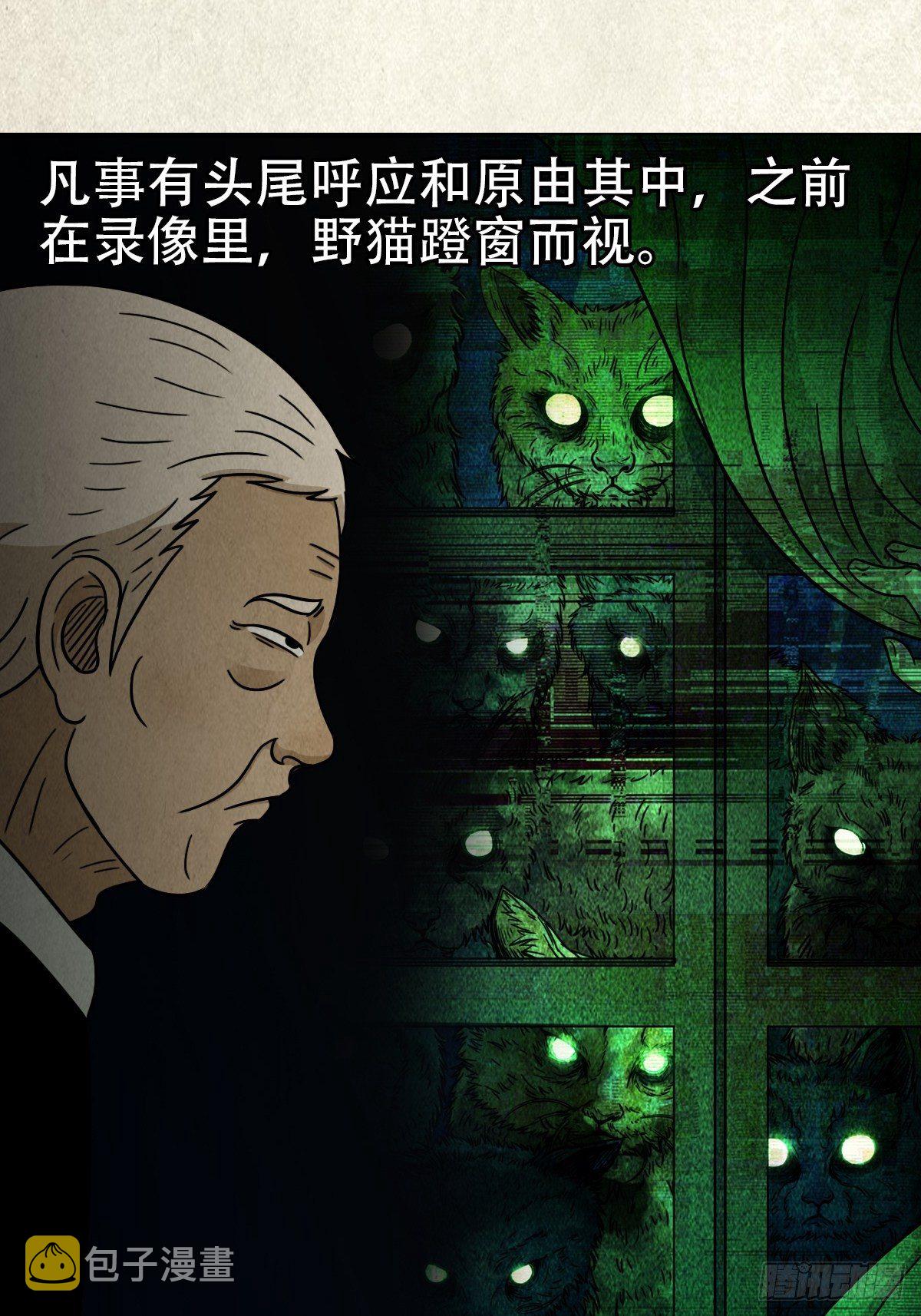 埋猫狗（下）70