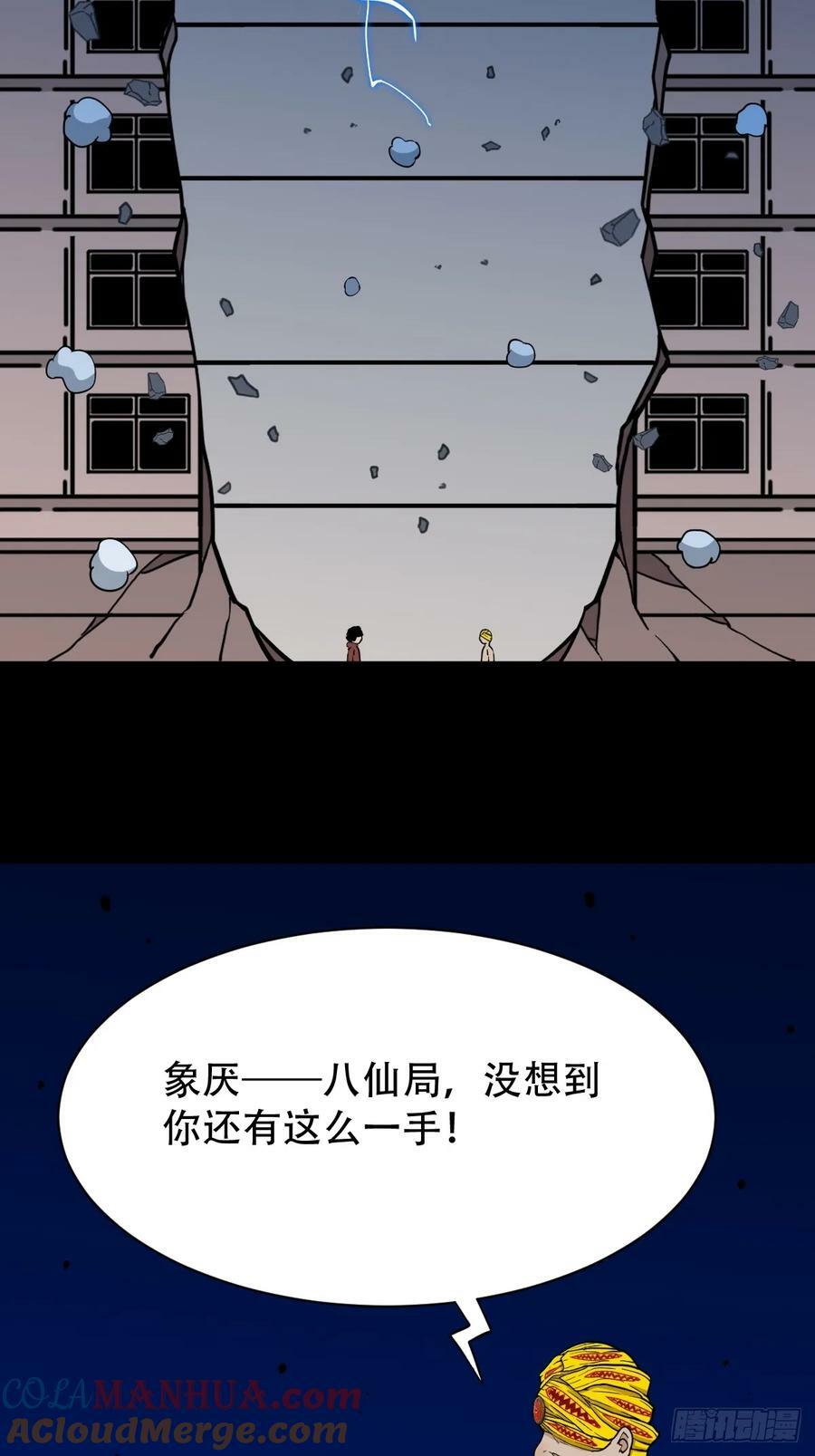 不老松24