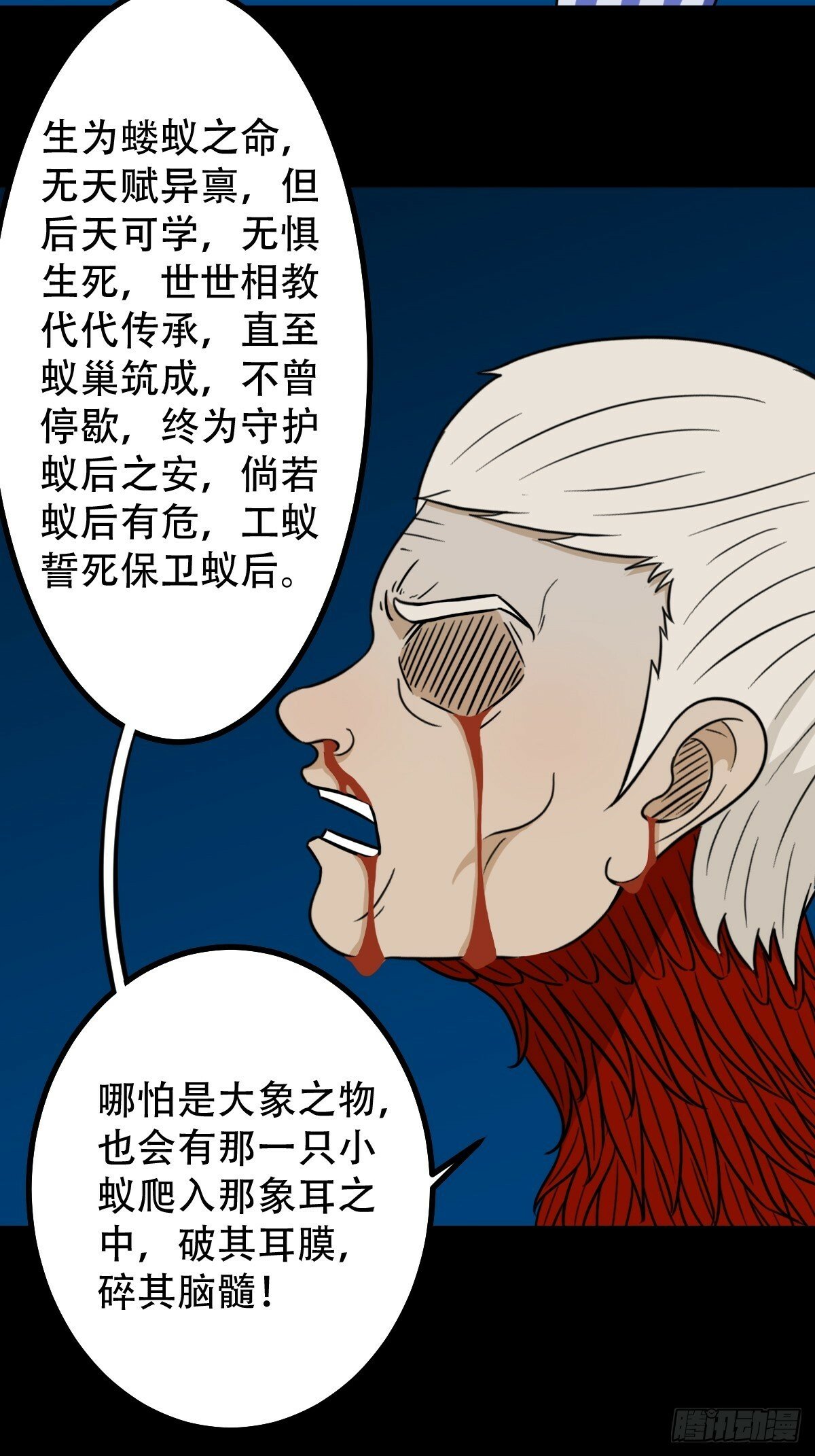 红然鸟50