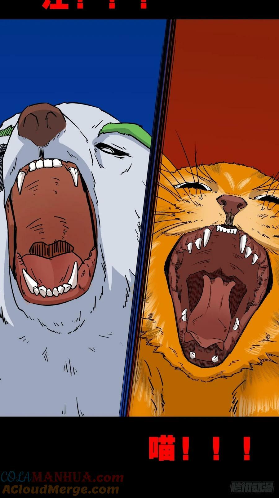 猫狗斗27