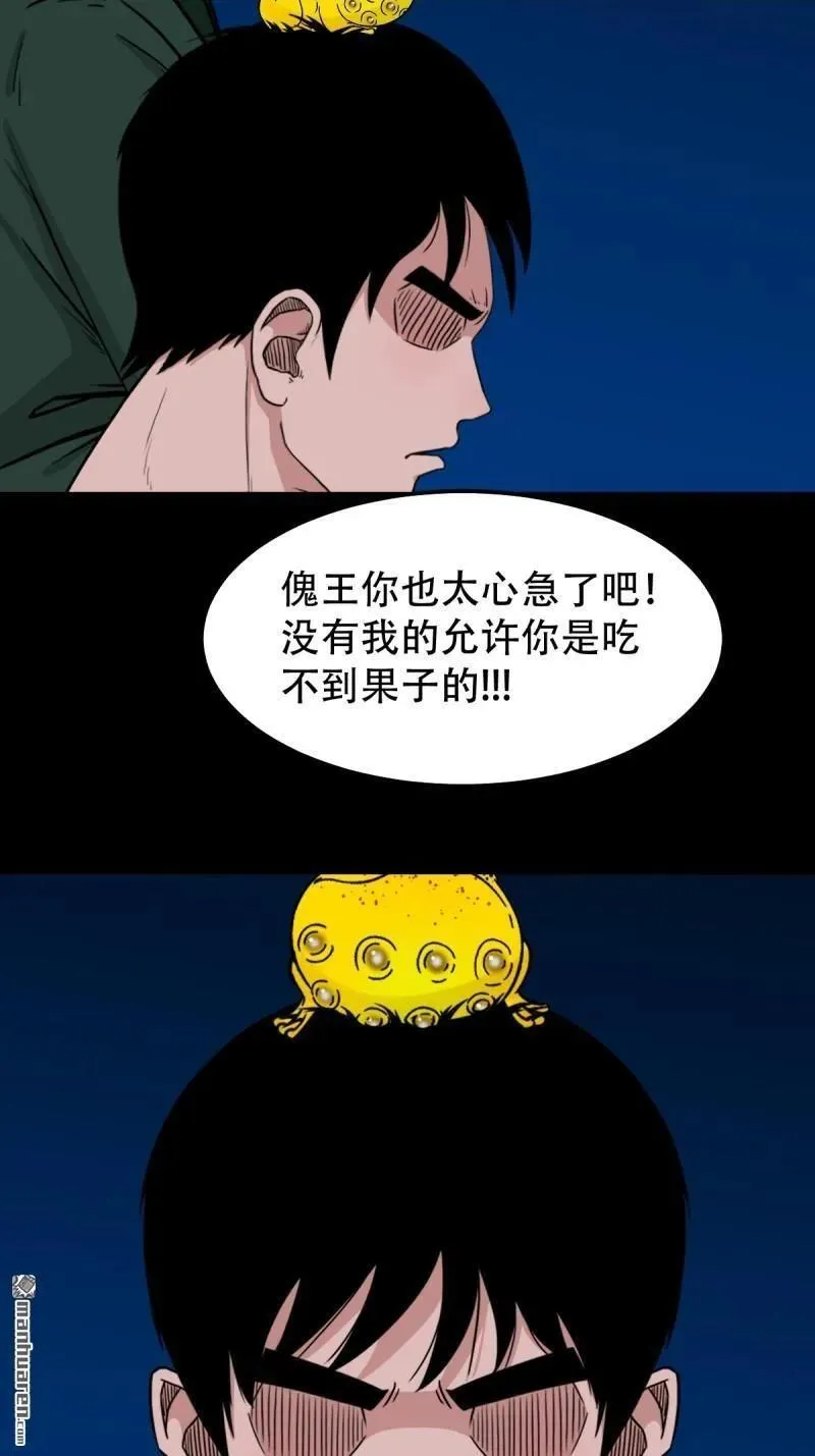 第243回 麒麟果31