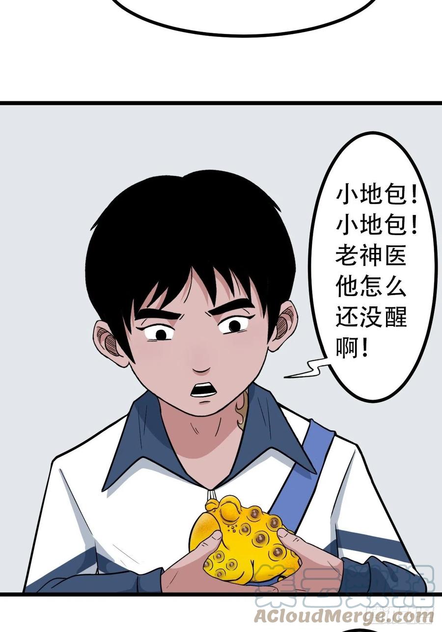 金蟾衣3