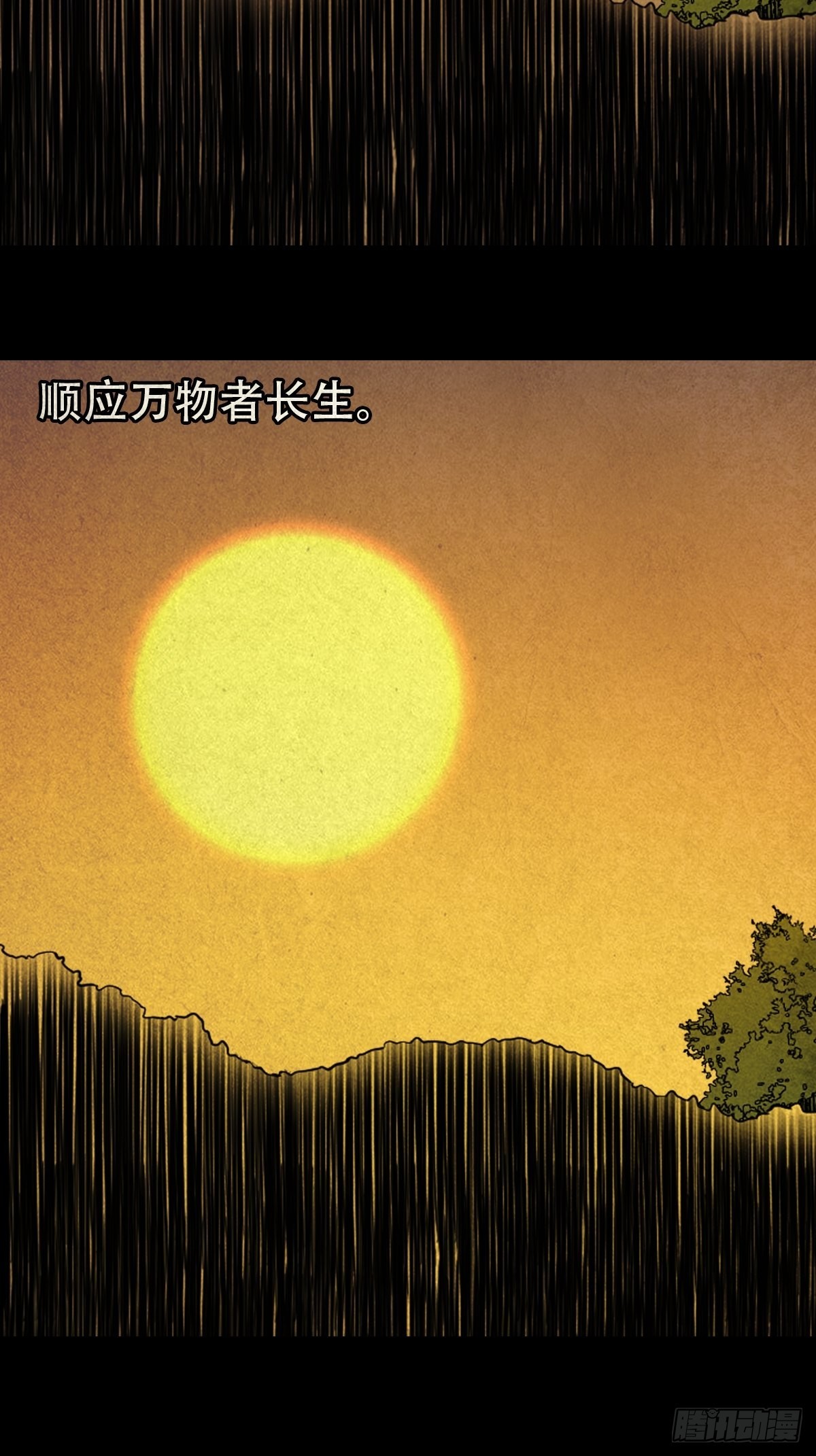 火枣20