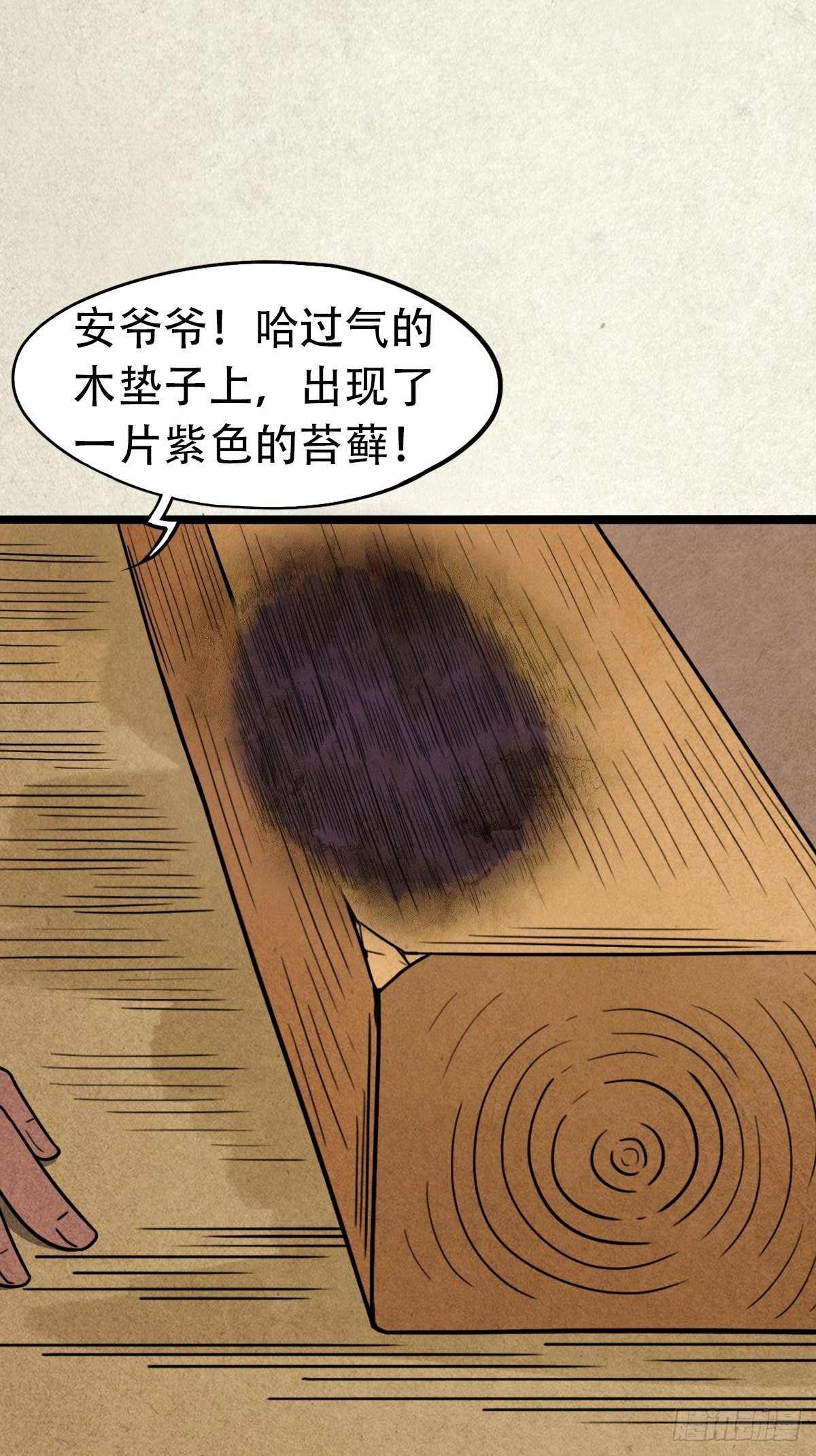 埋猫狗（下）37