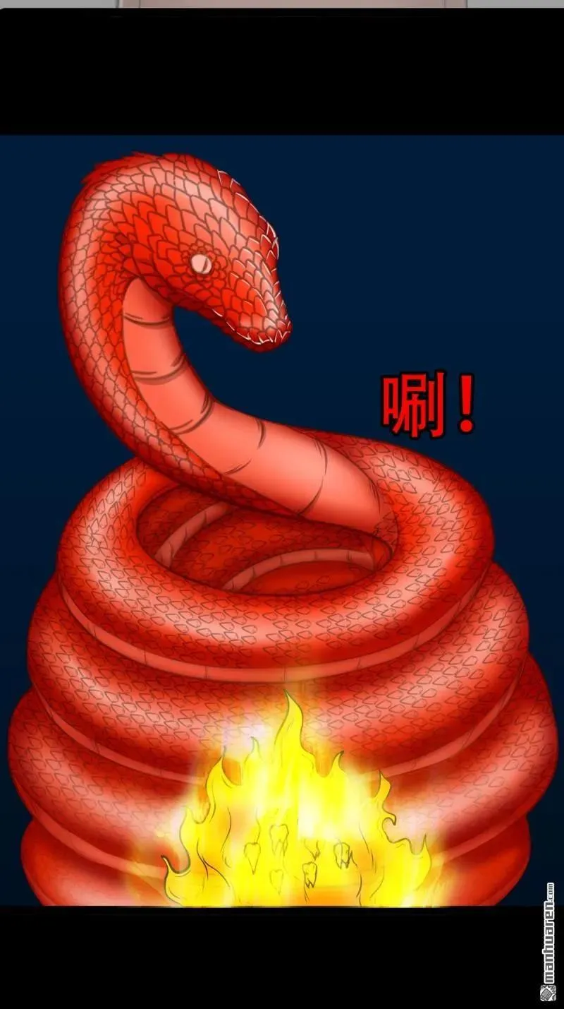 第251回 太一纹8