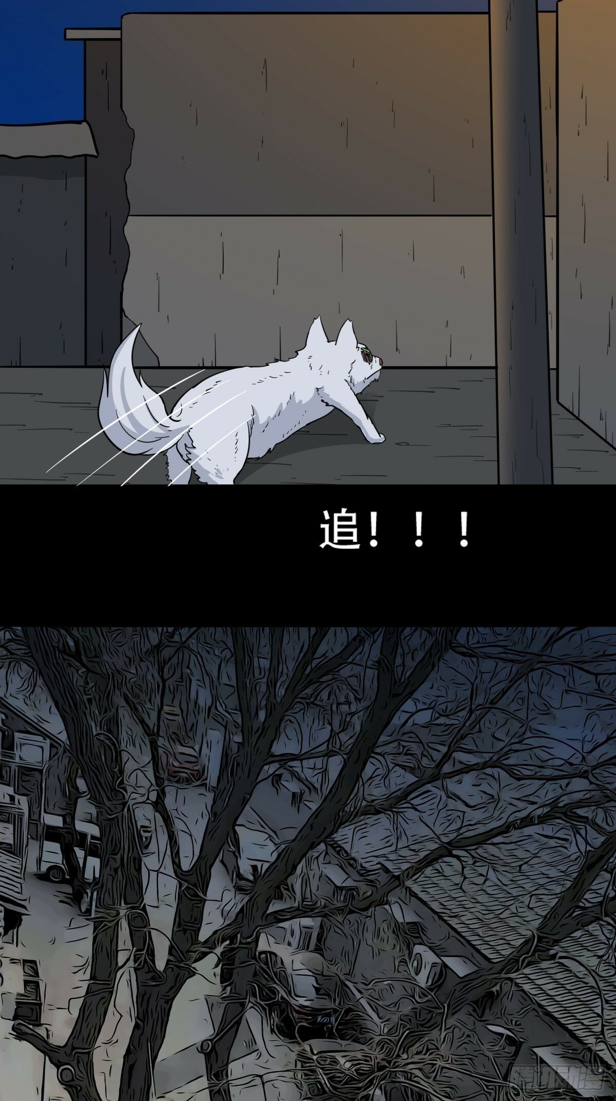泉头村5