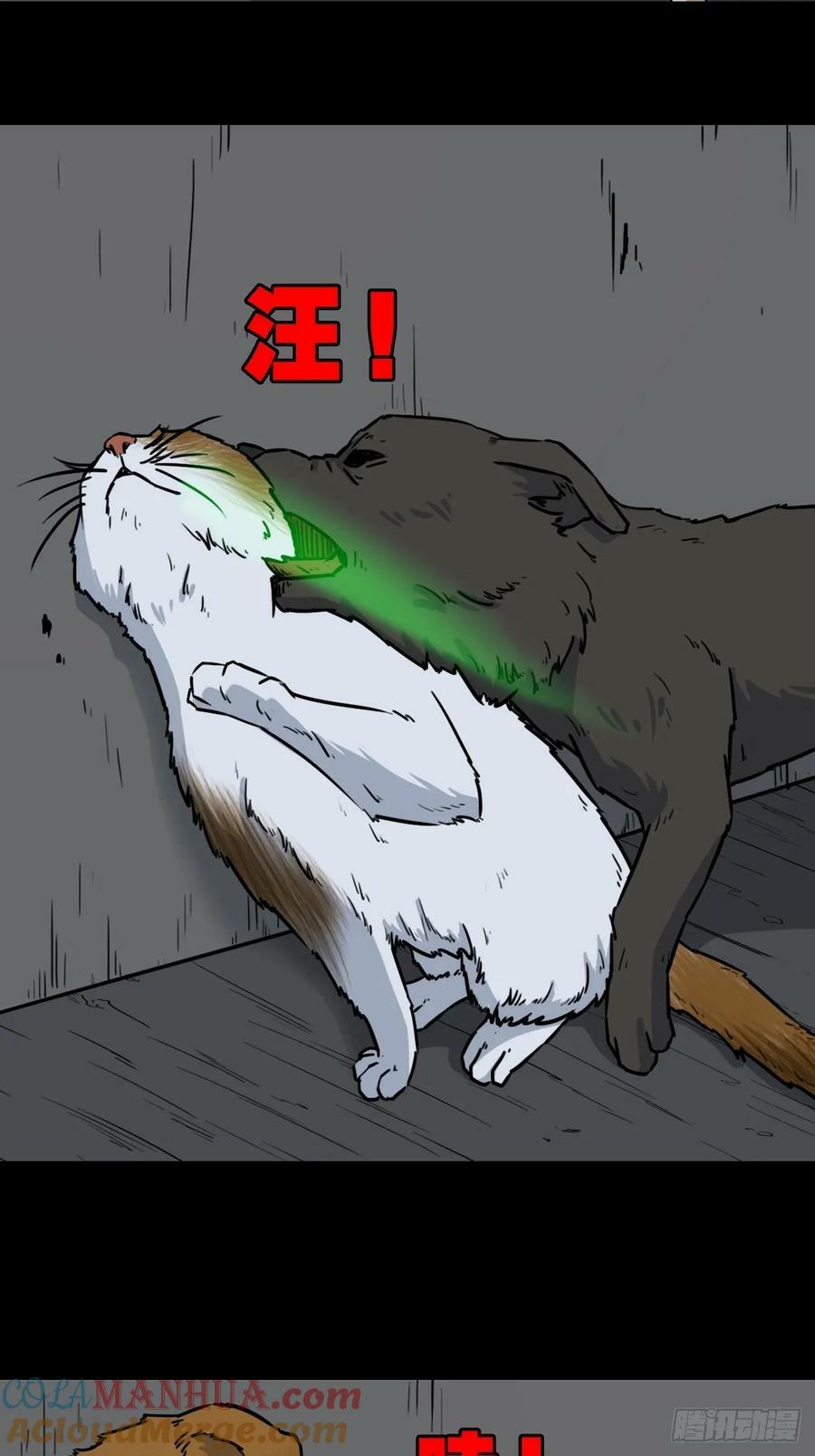 猫狗斗30