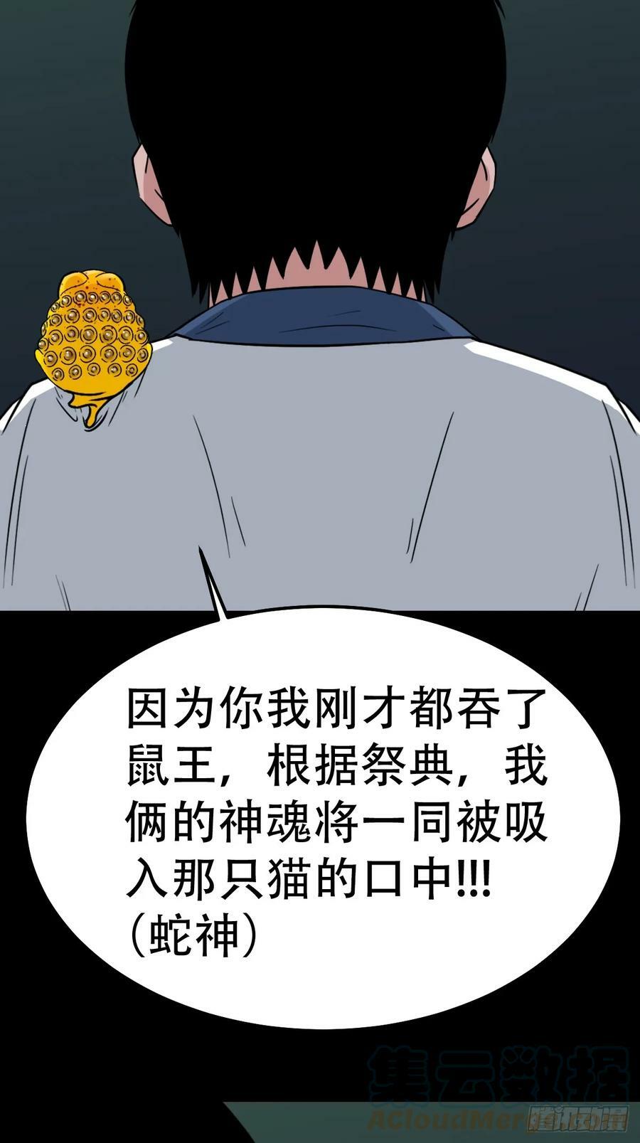 蛇吞鼠45