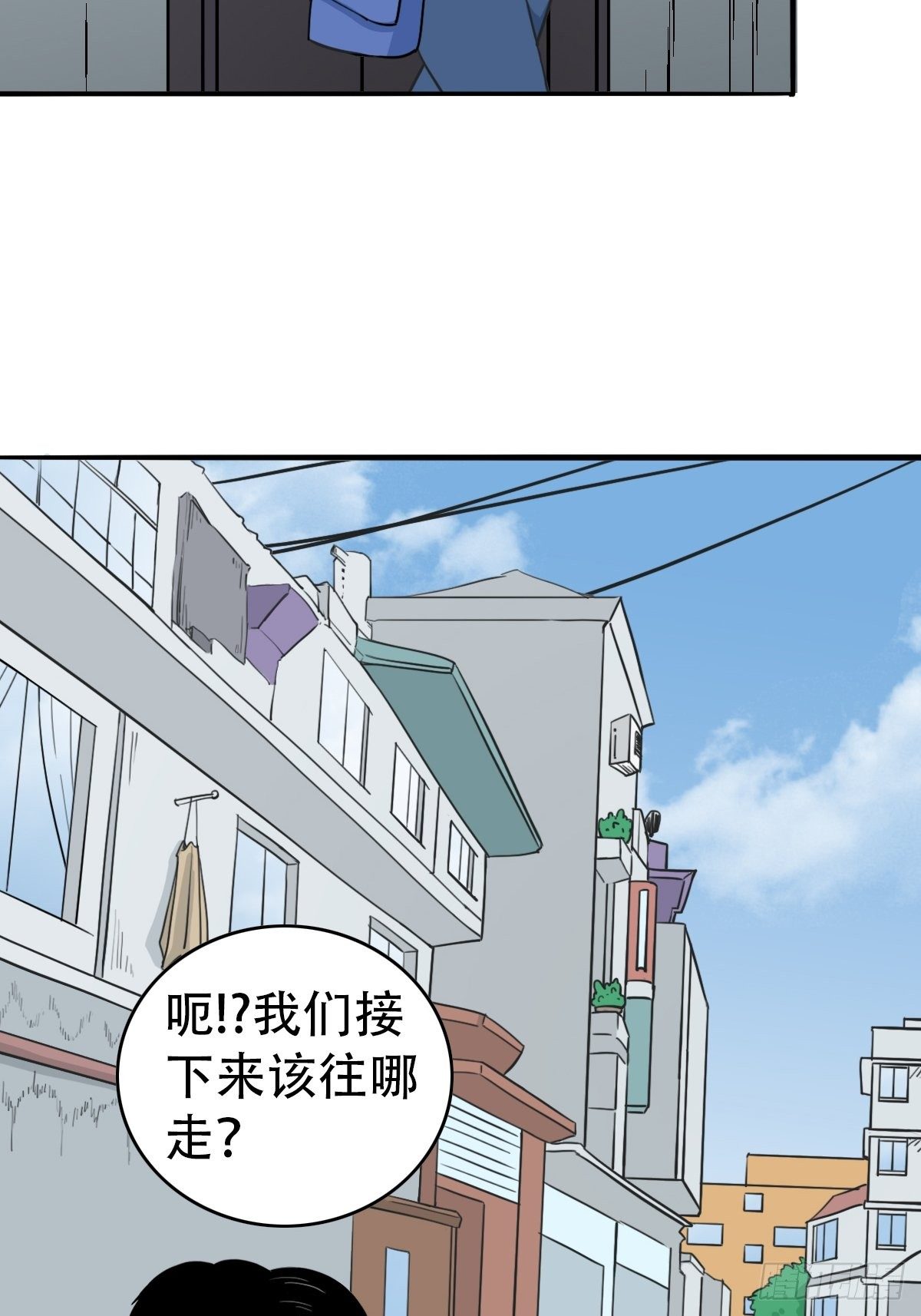 镶宝金蟾10