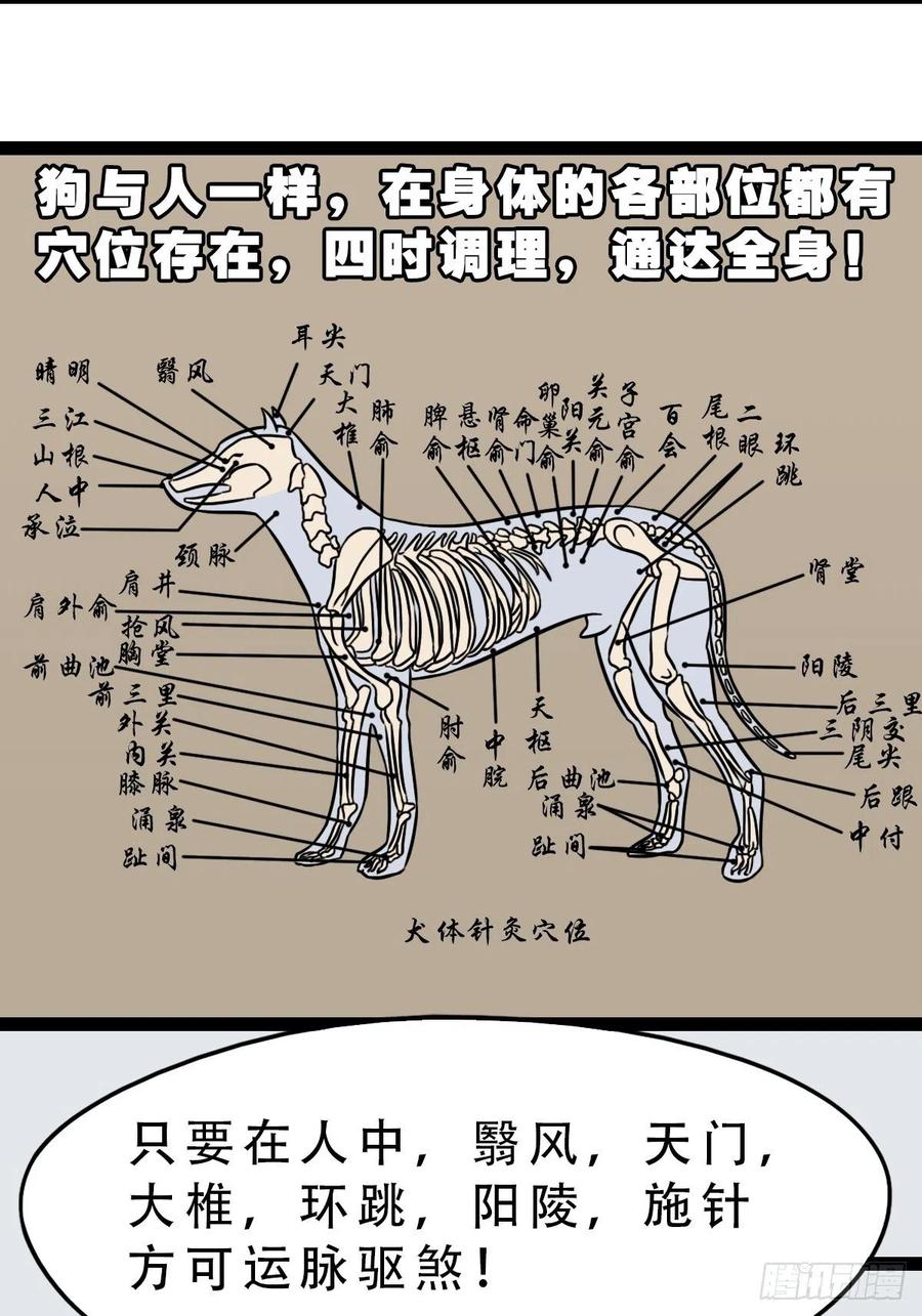 蛇吞蟾17