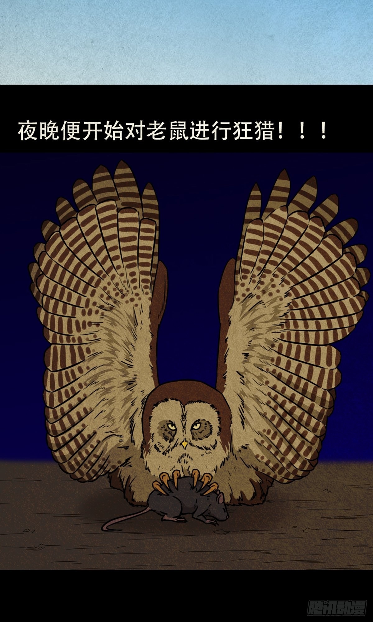 怪鸮43