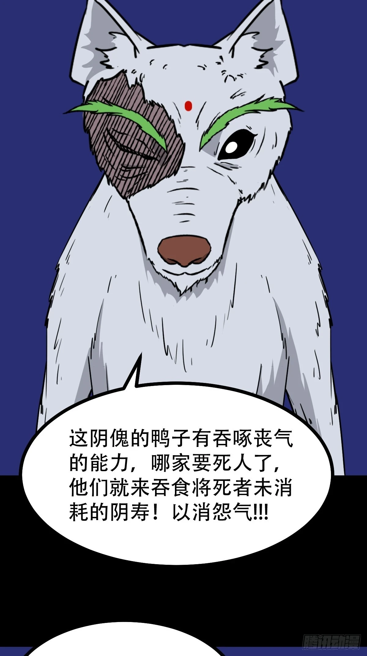 鸭先知37