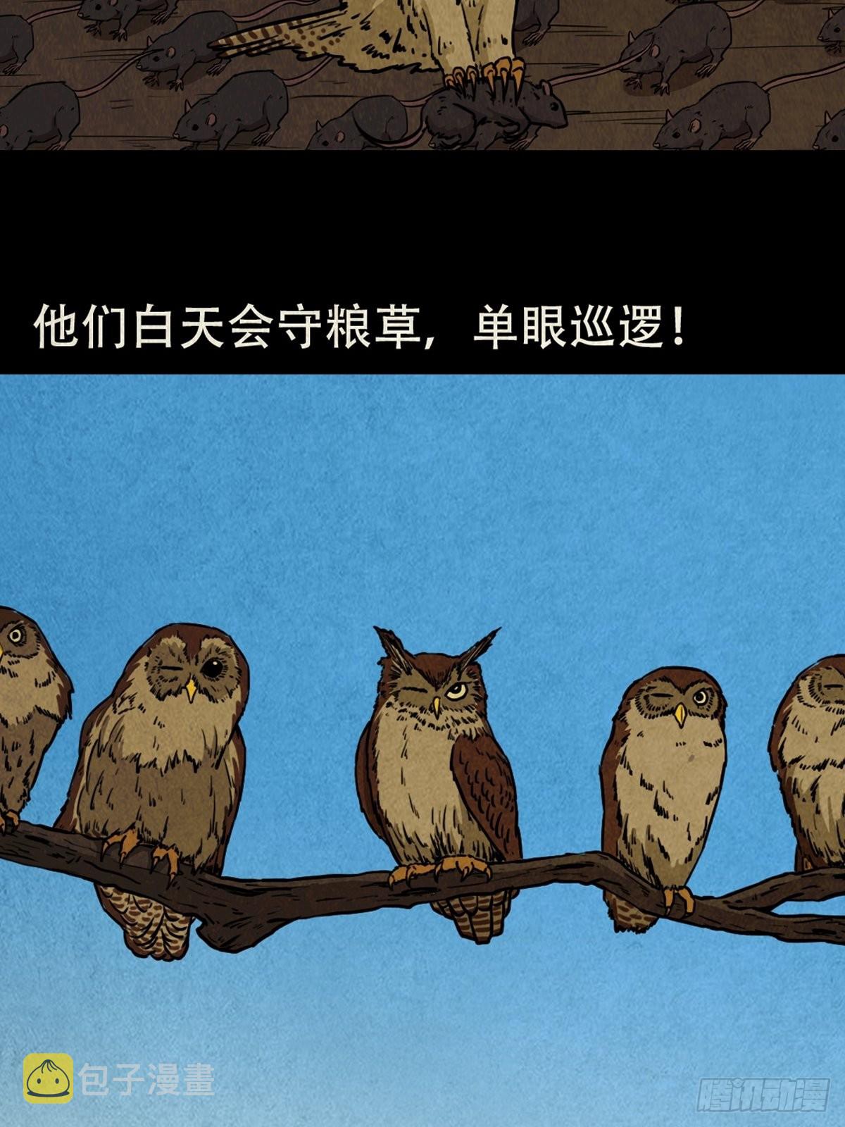 怪鸮42