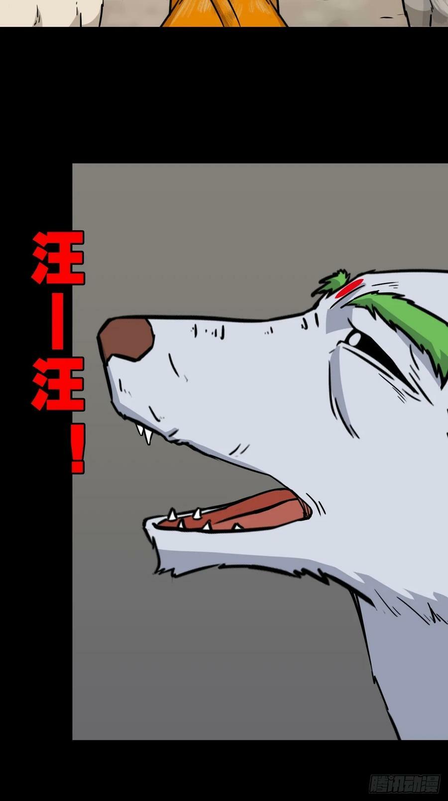 猫狗斗25