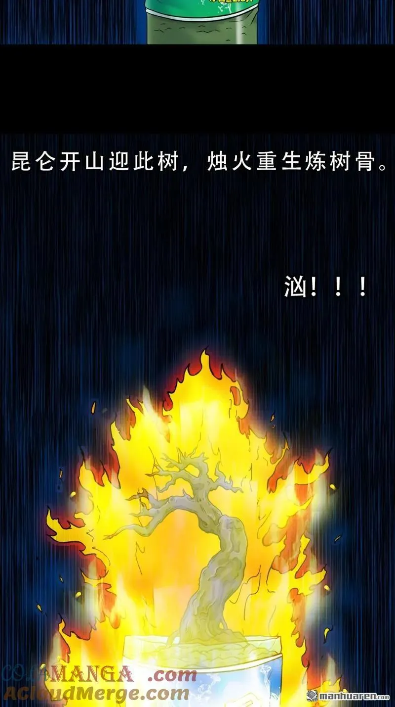 第282回 回阳身9