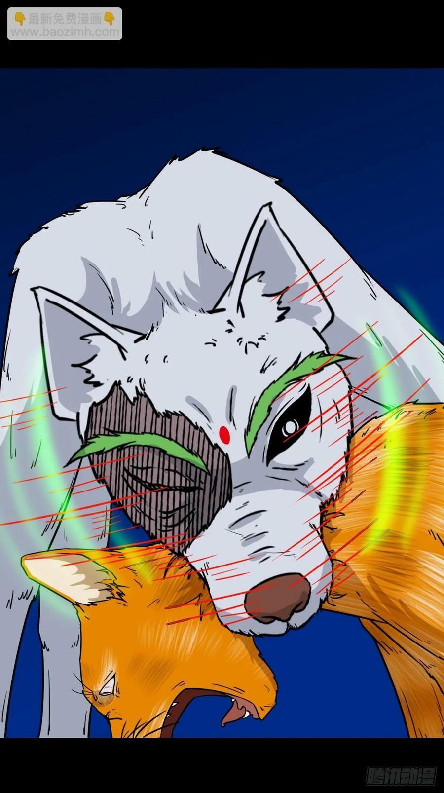 猫狗斗40