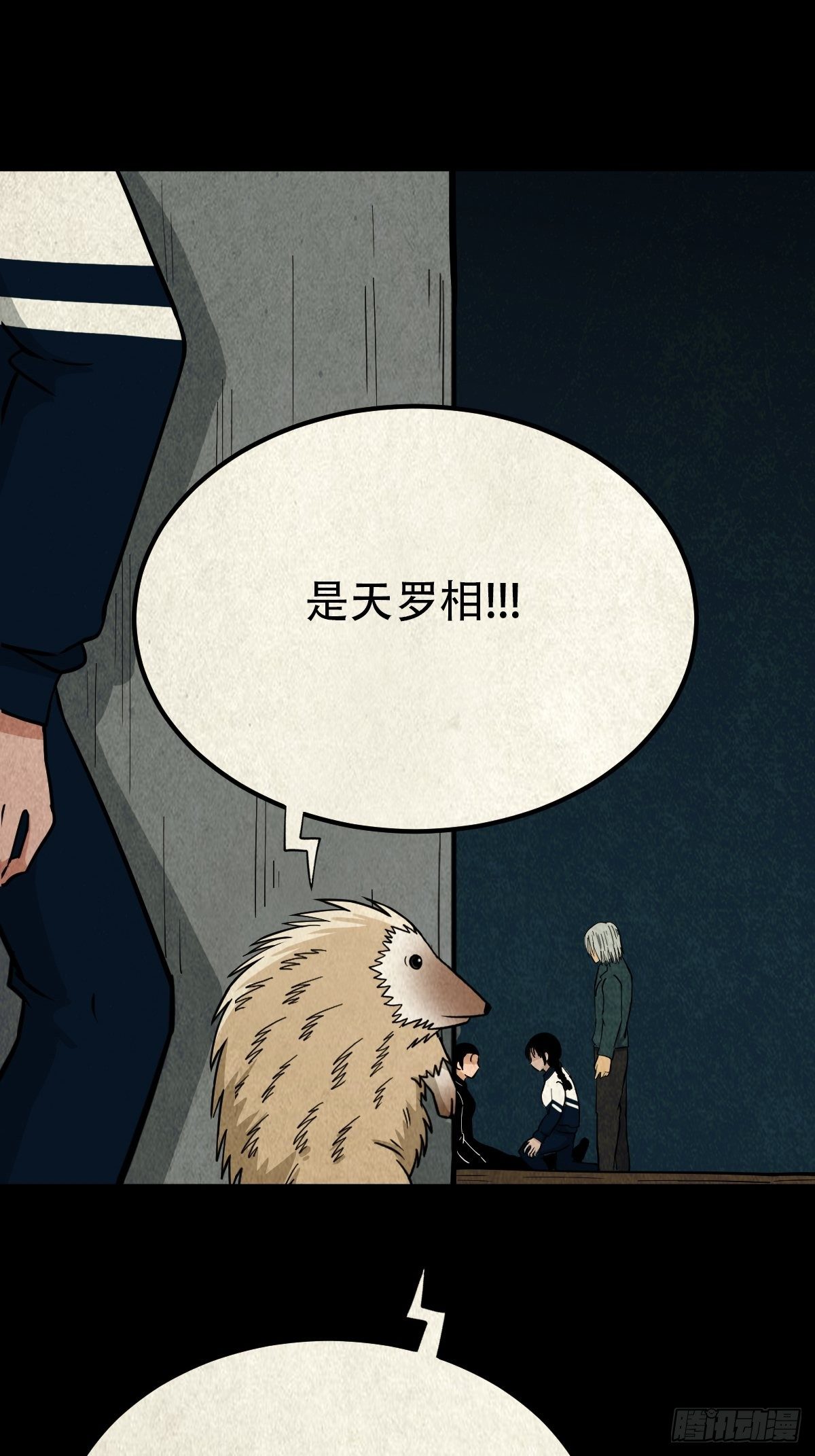 败退天罗12