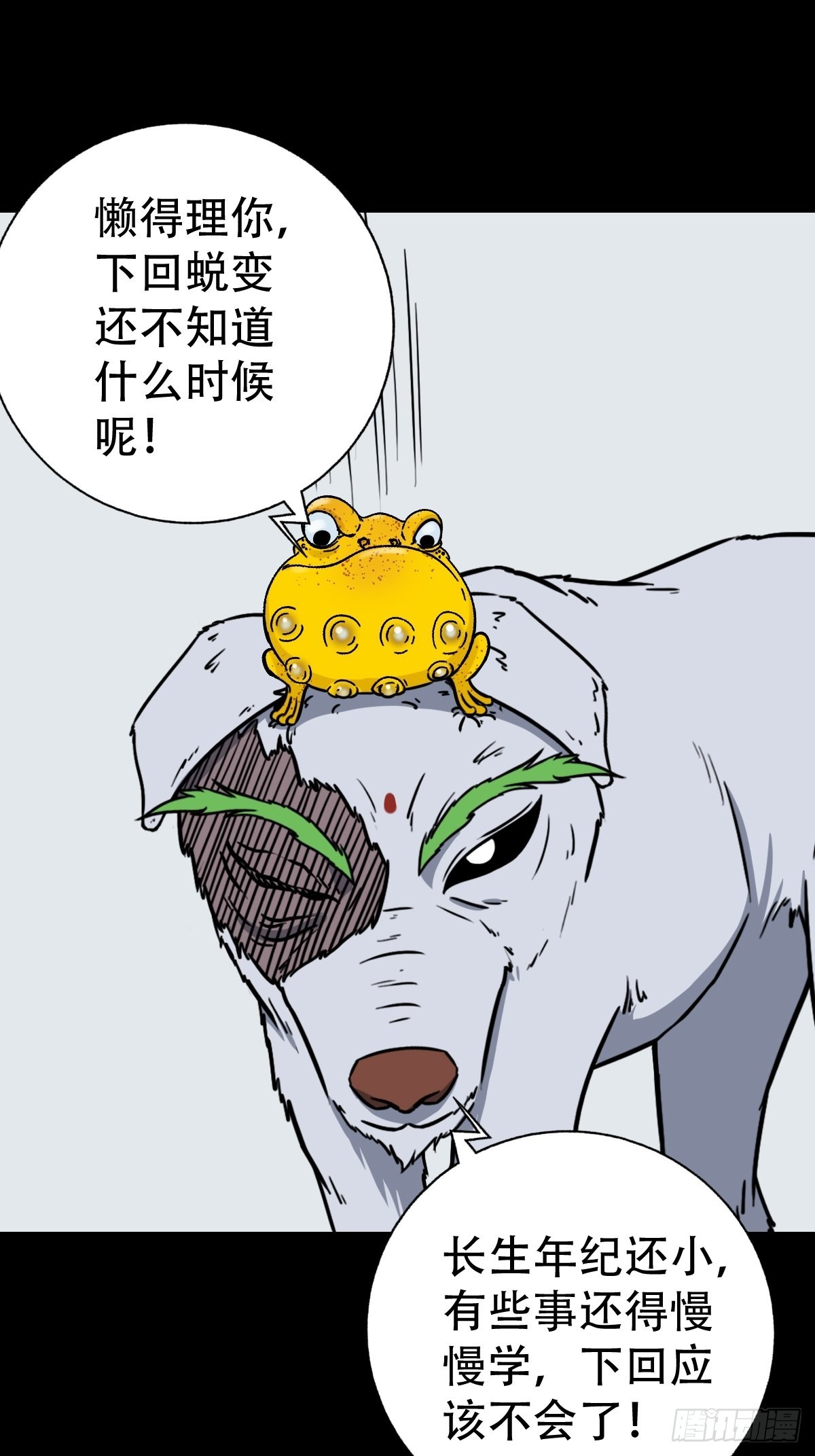 狗宝35
