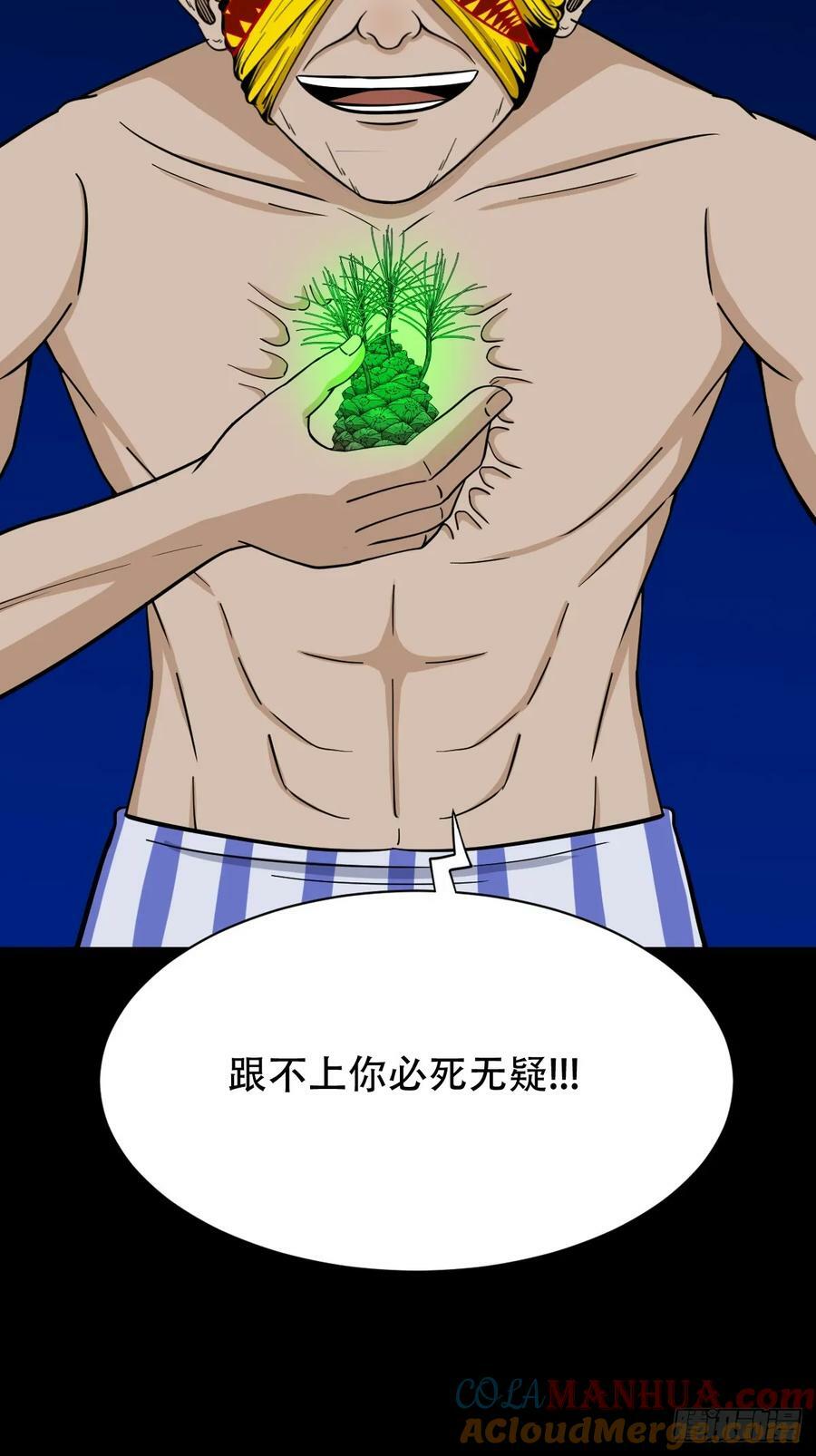 不老松27