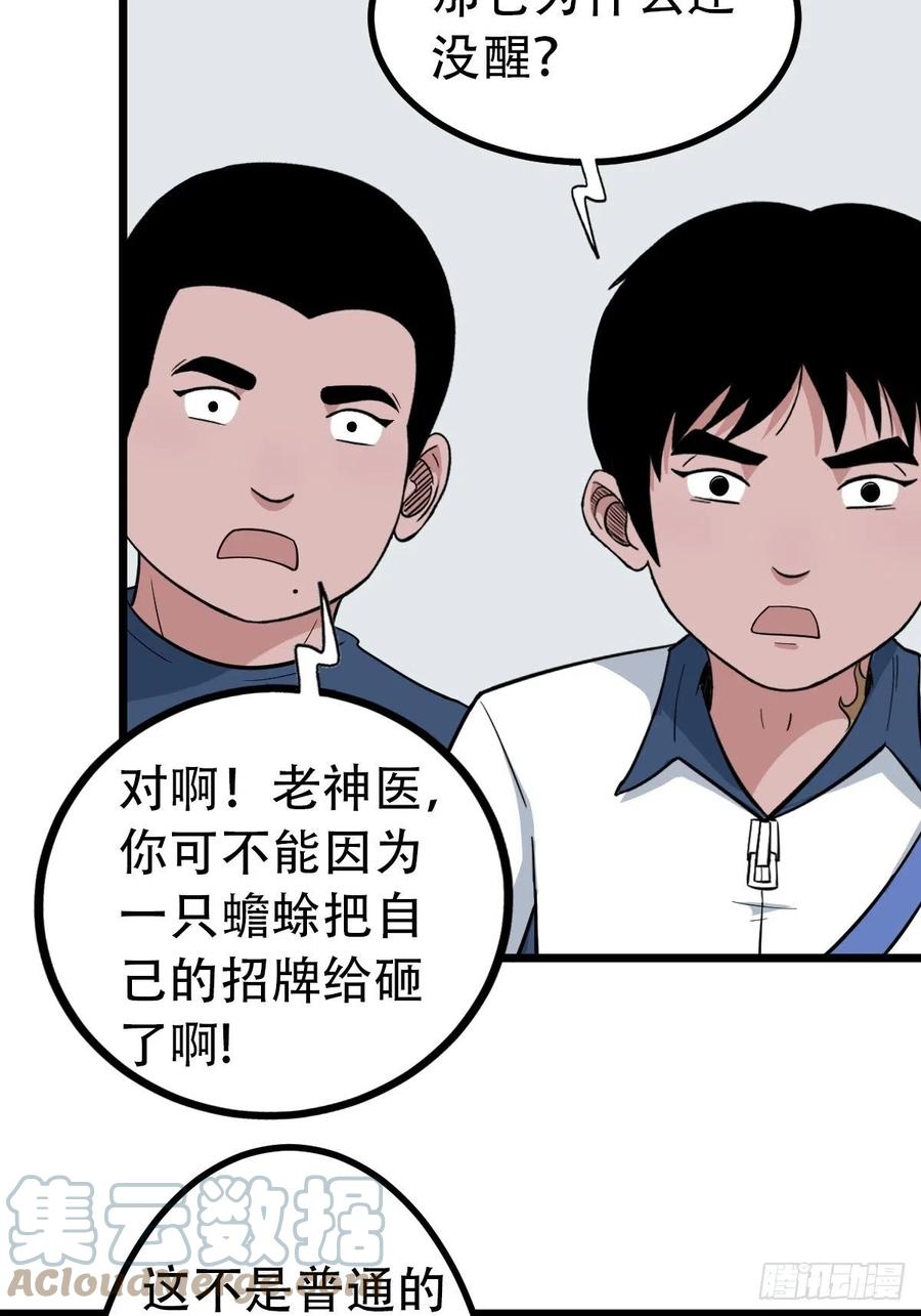 金蟾衣6
