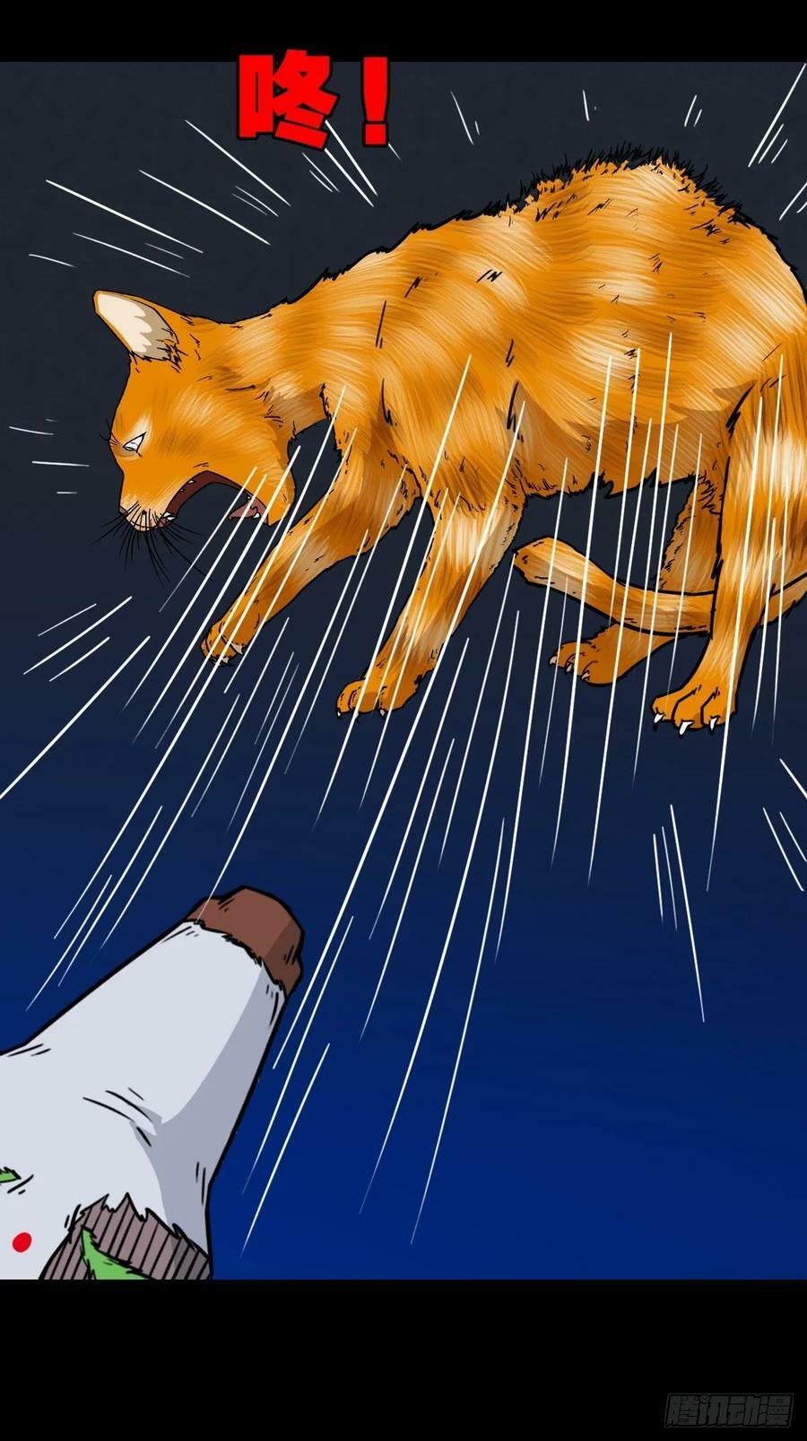 猫狗斗41