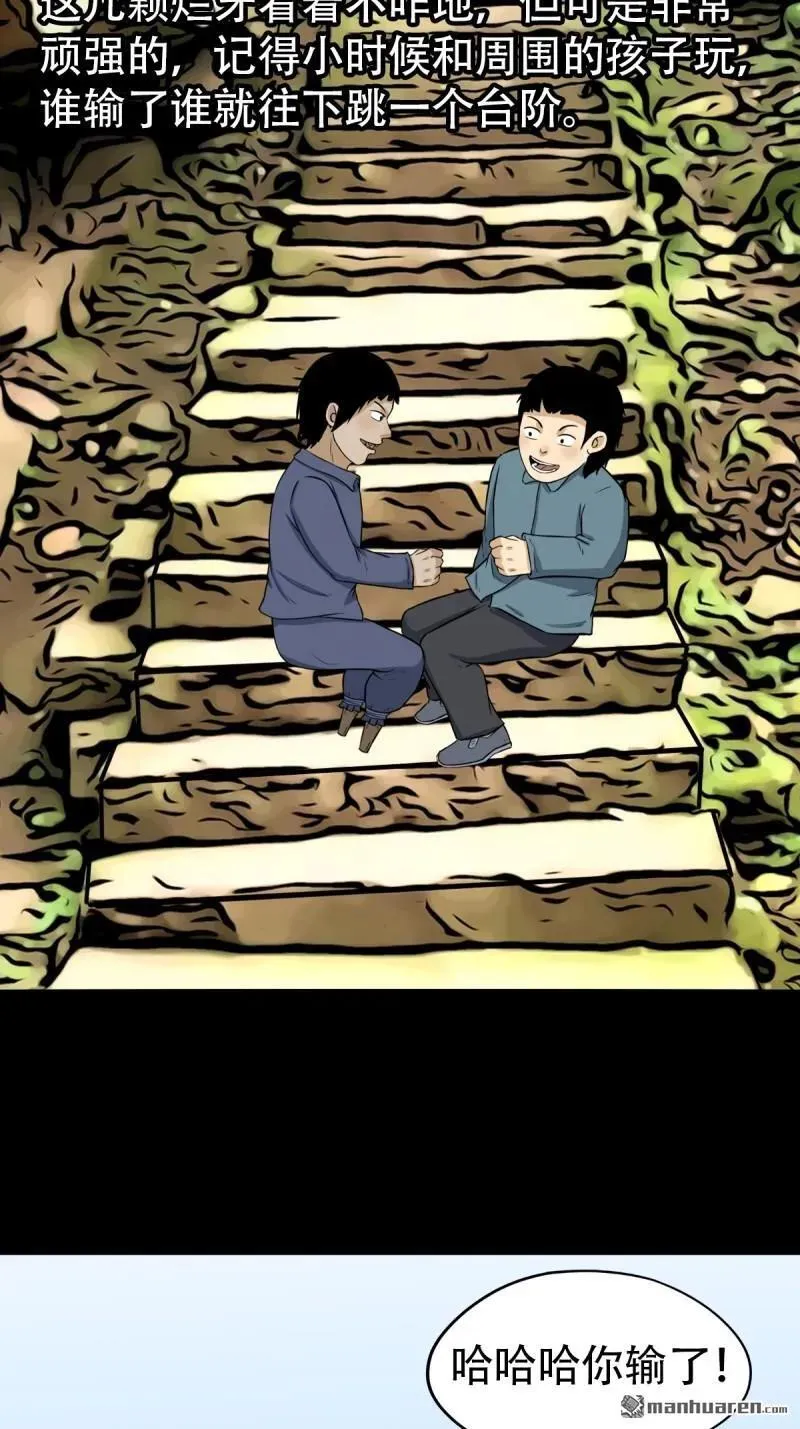 第251回 太一纹14
