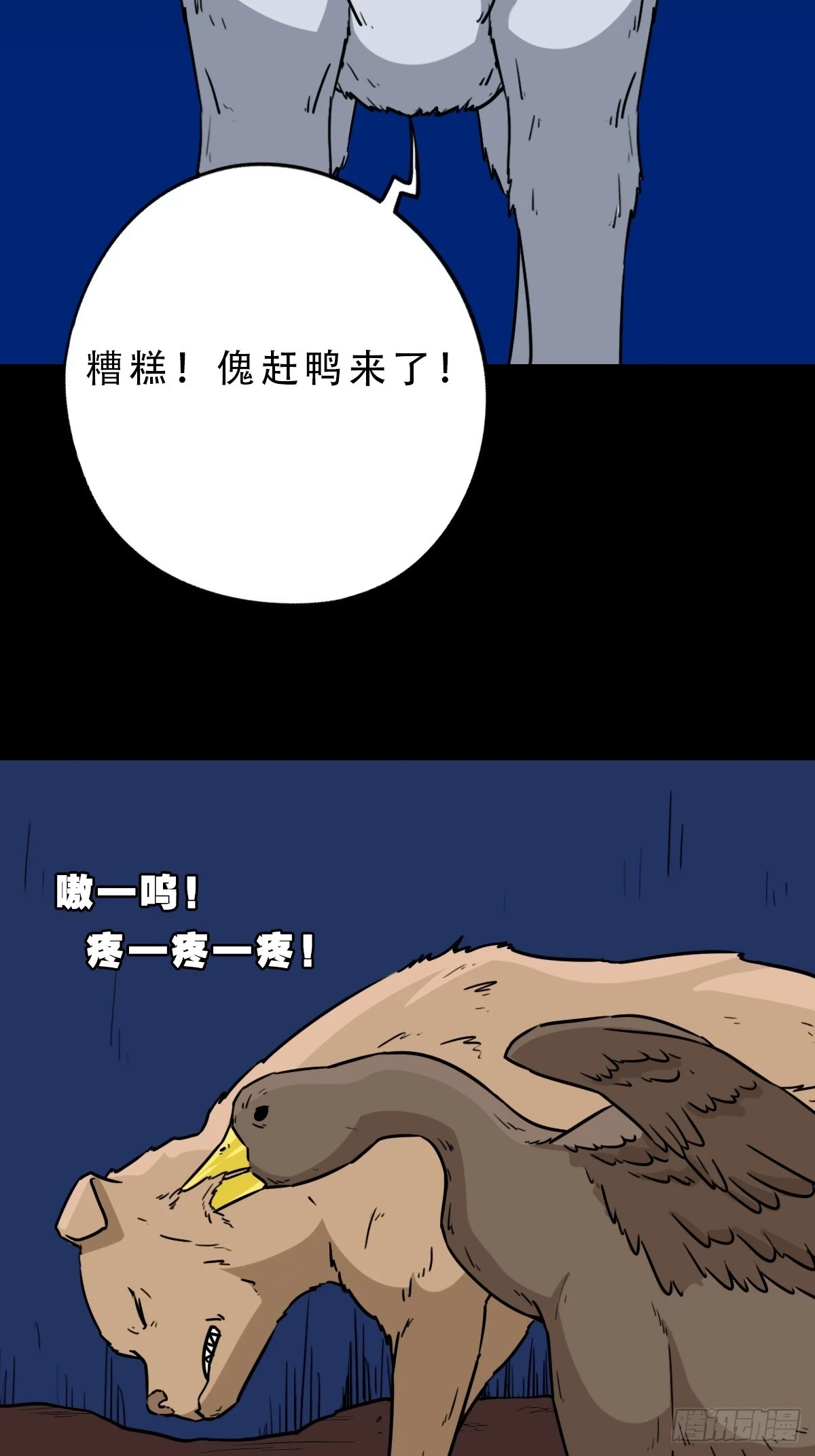 鸭先知31