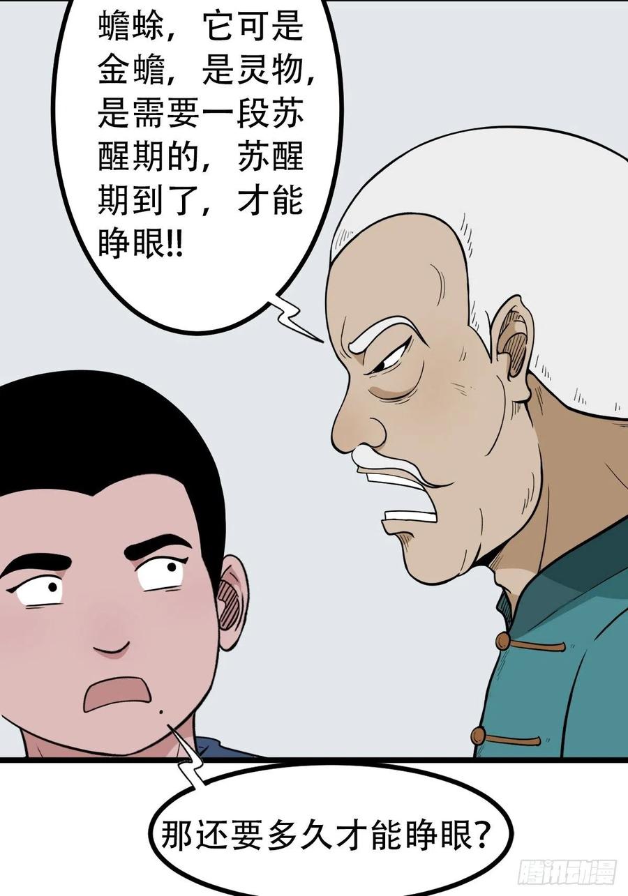 金蟾衣7