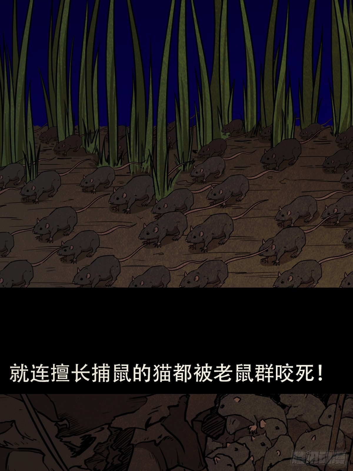 怪鸮36