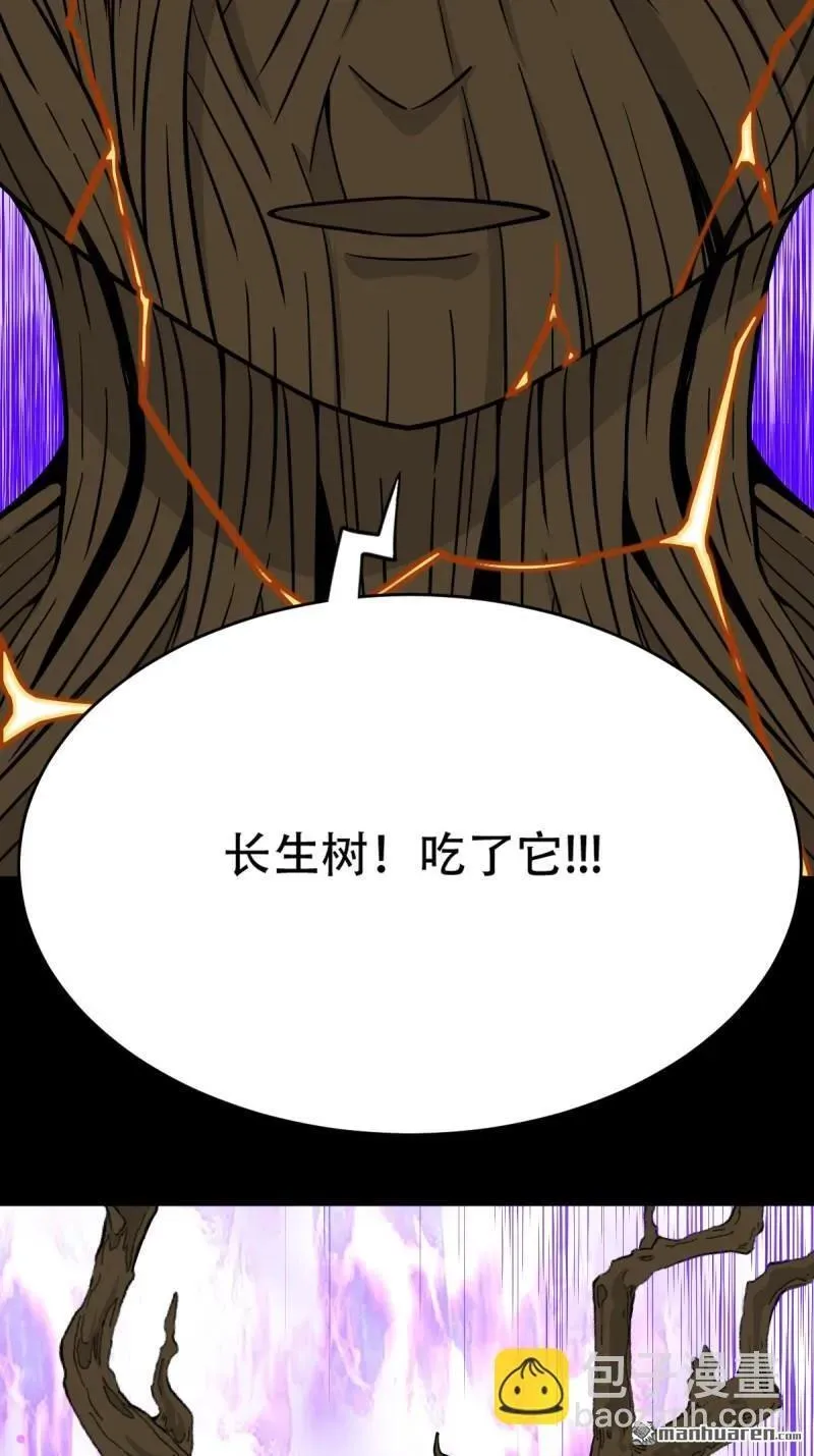 第243回 麒麟果17