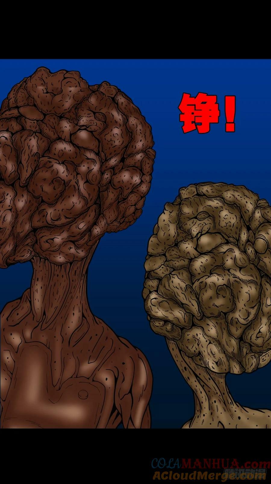 聚肉尸24
