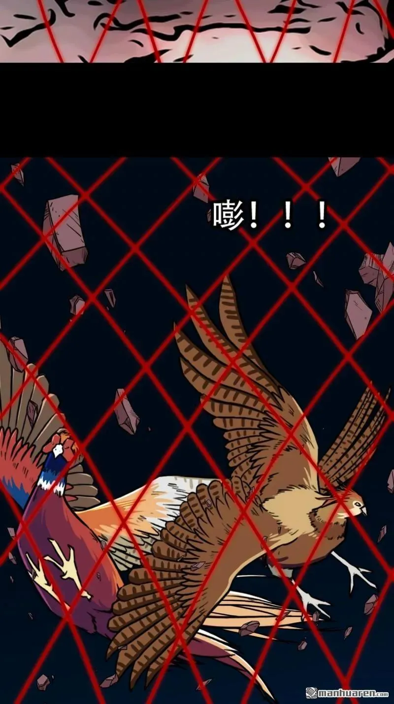 第273回 疾病天罗·下41