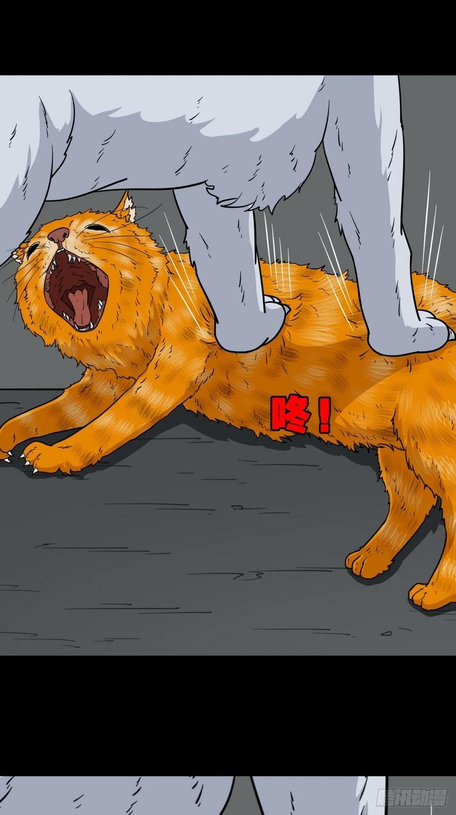 猫狗斗43
