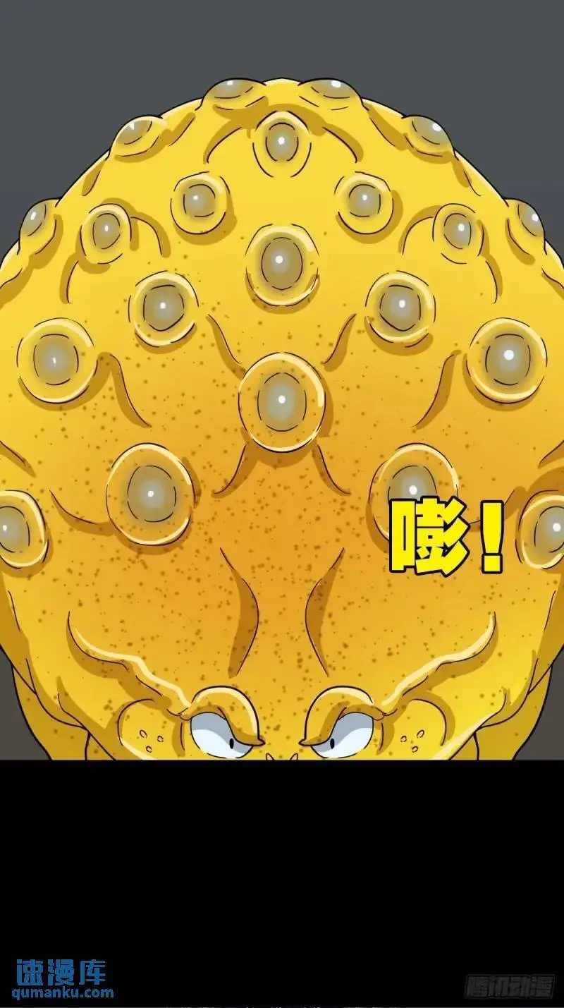 斗仙儿33