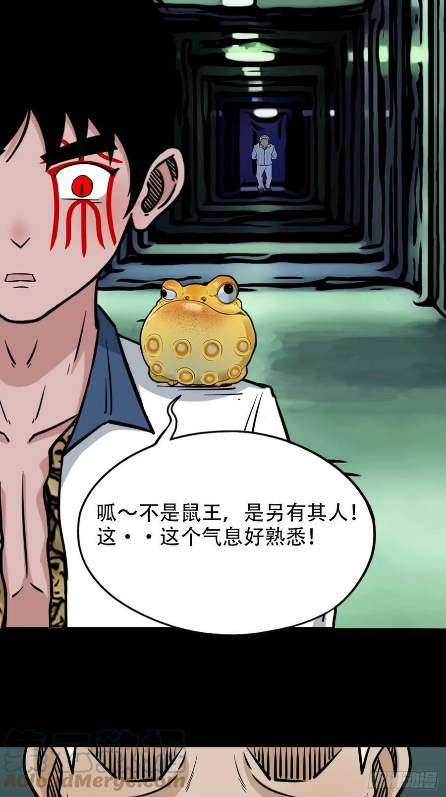 蛇吞鼠33