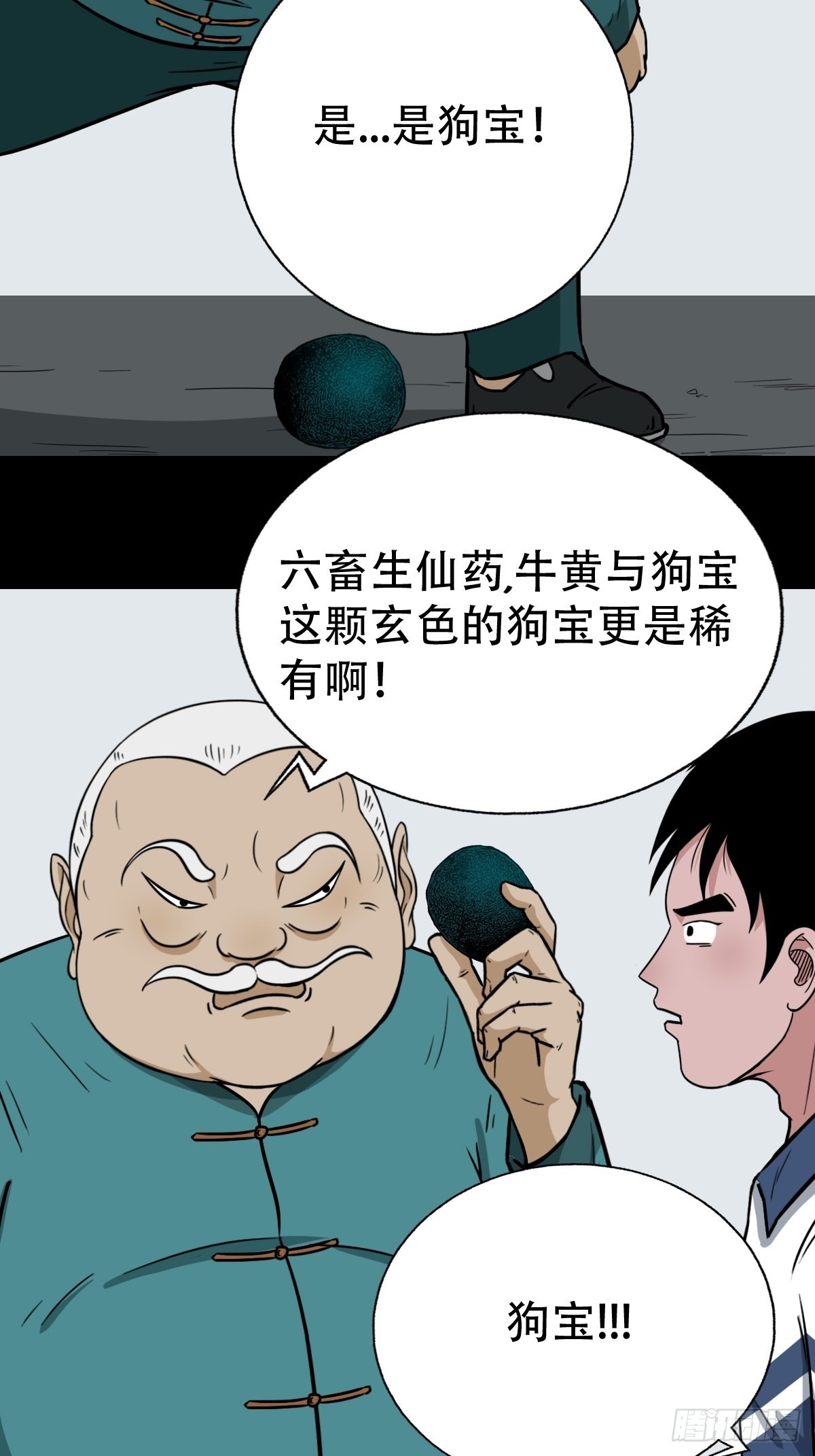 狗宝39
