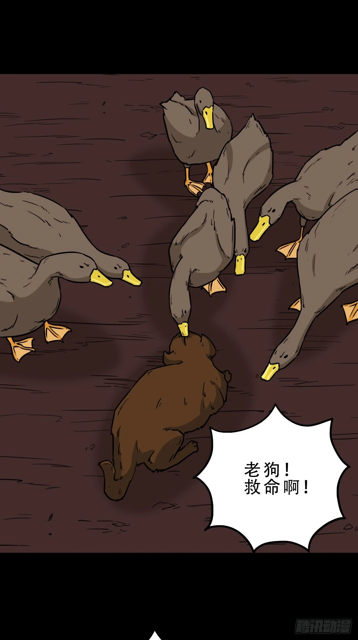鸭先知33