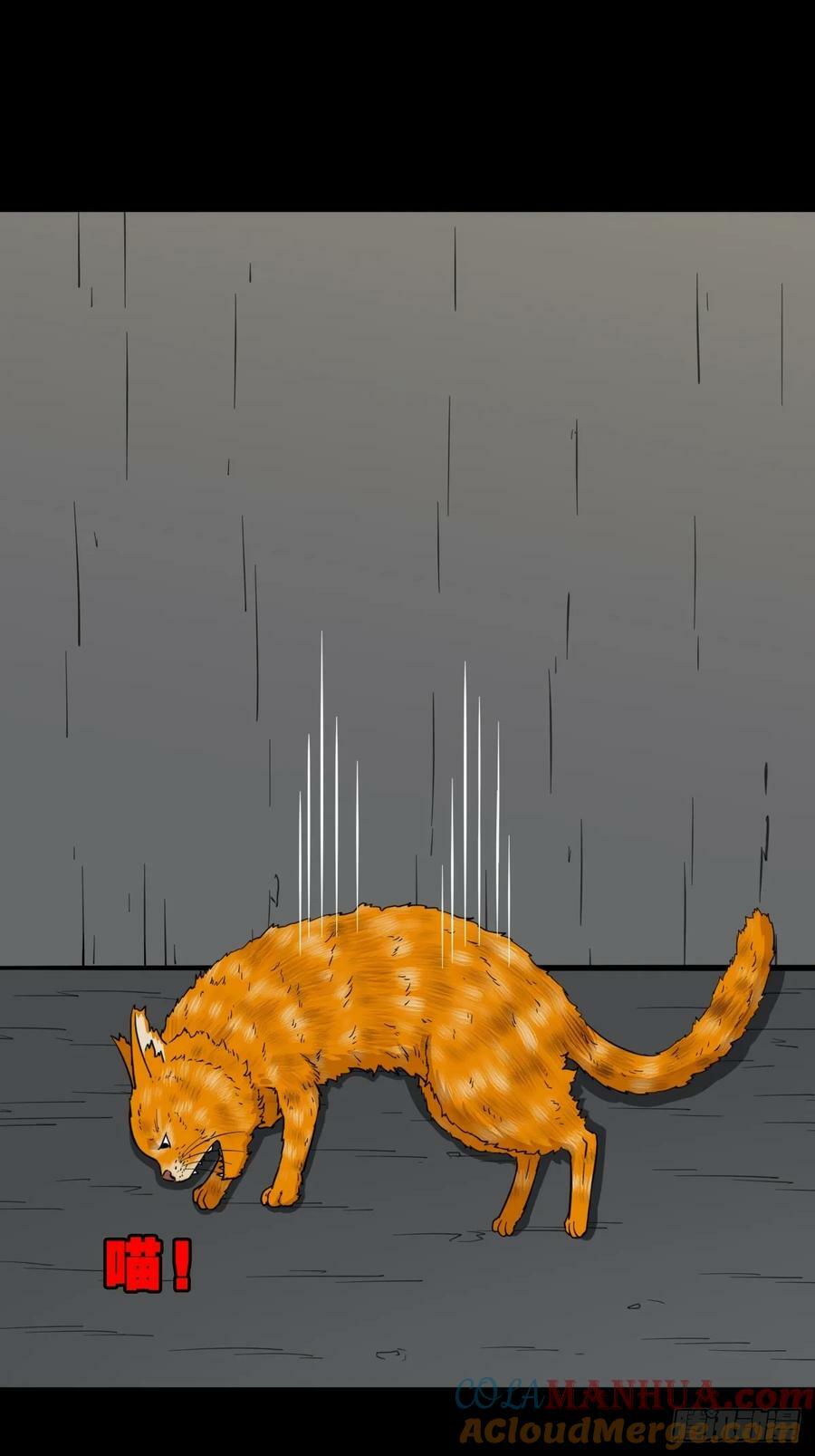 猫狗斗42