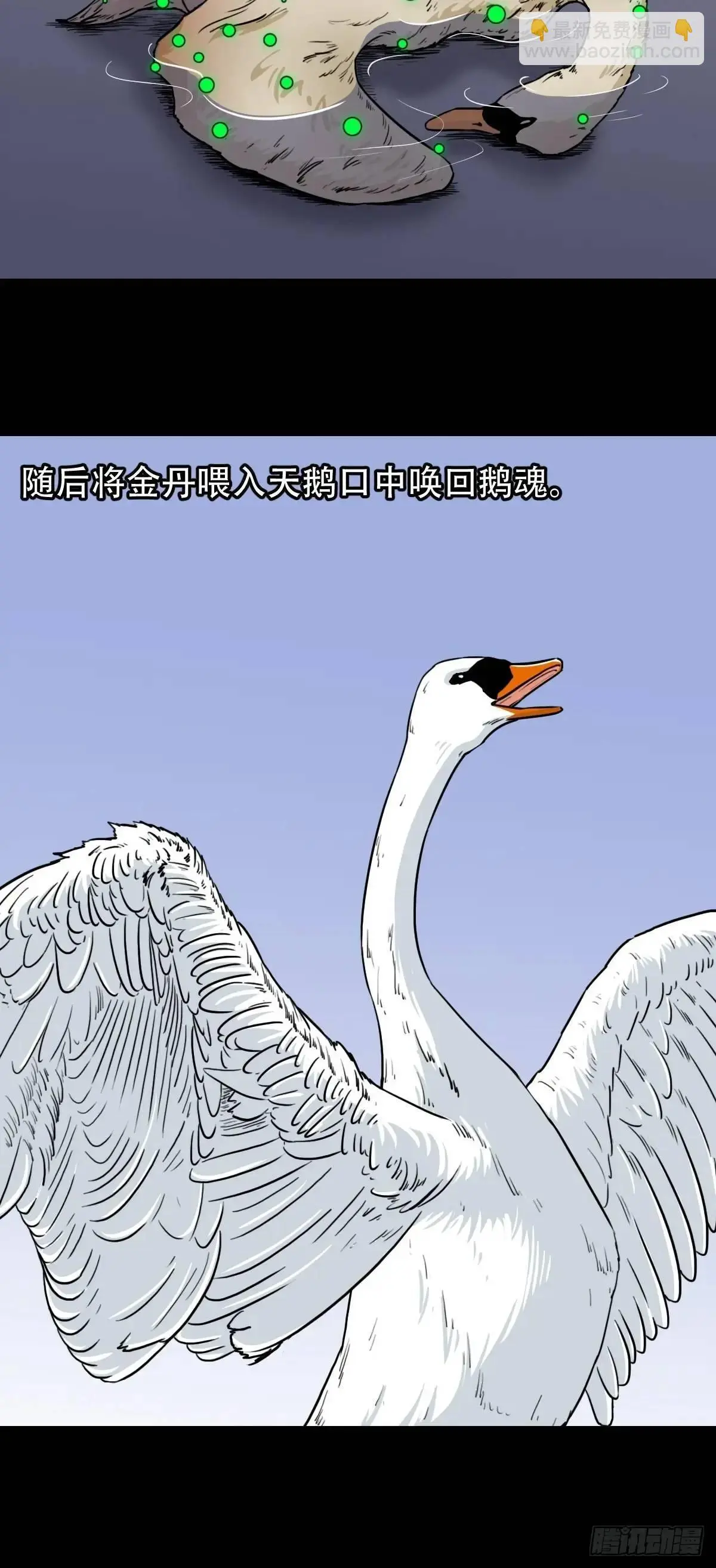 蟾说6