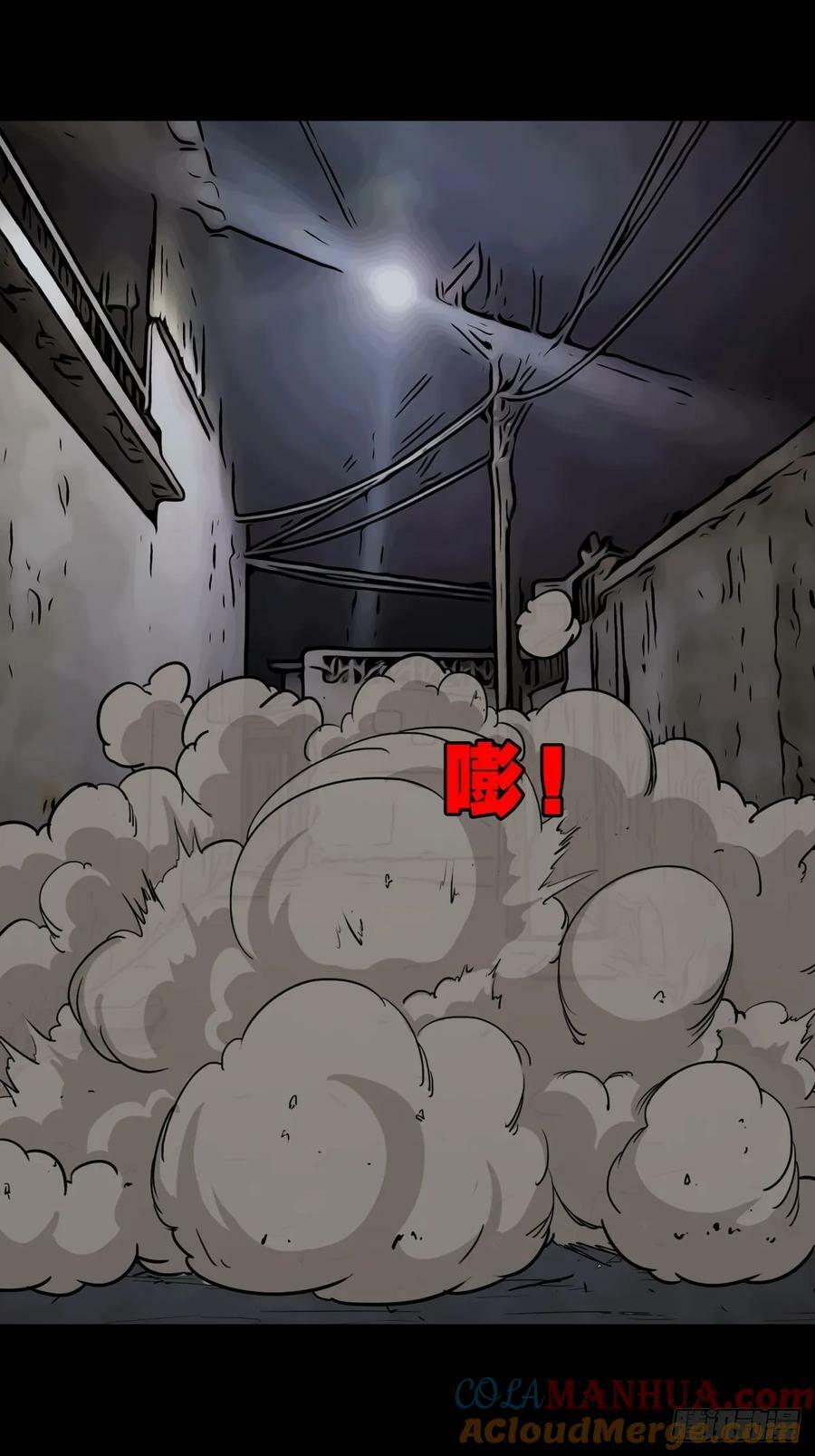 猫狗斗33