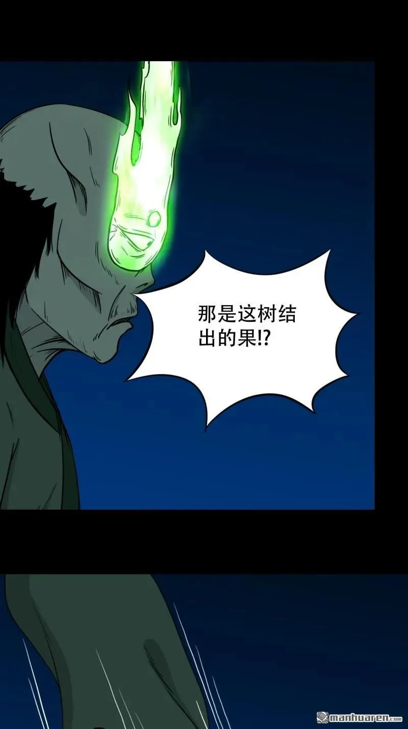 第243回 麒麟果28