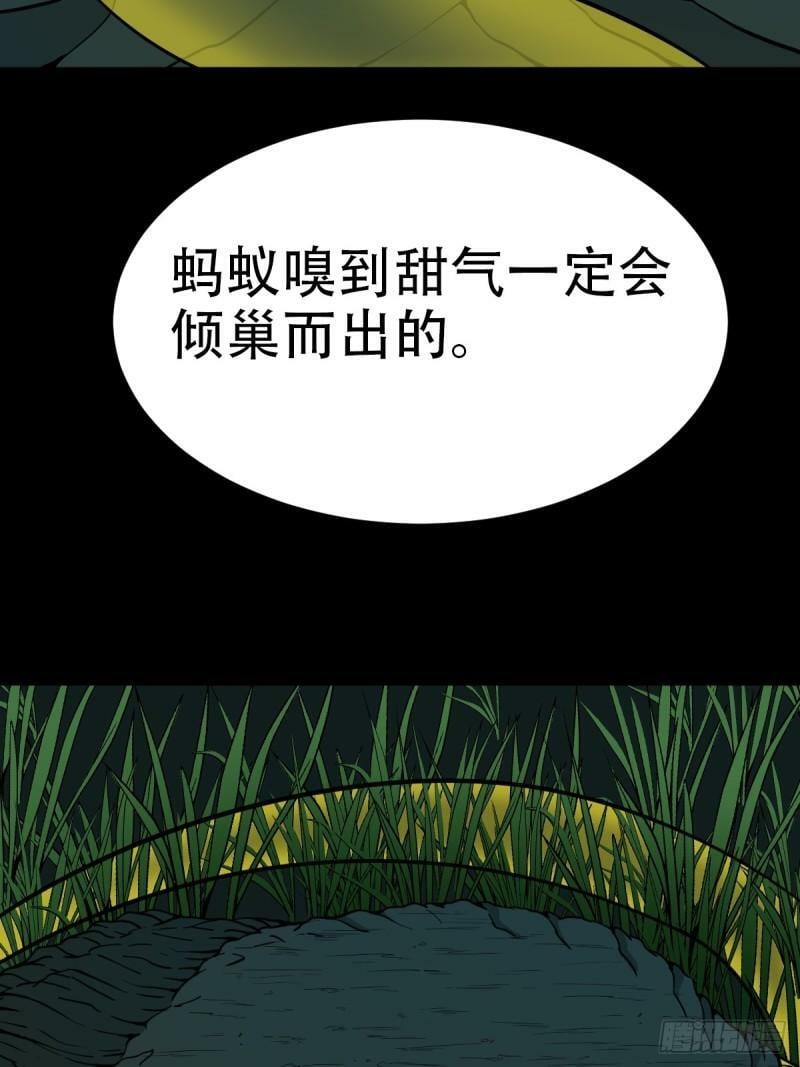董槐32
