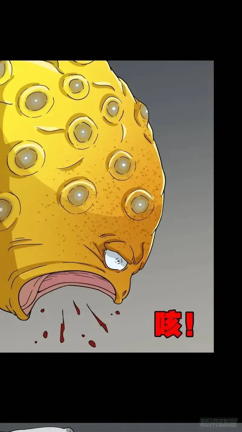 斗仙儿36