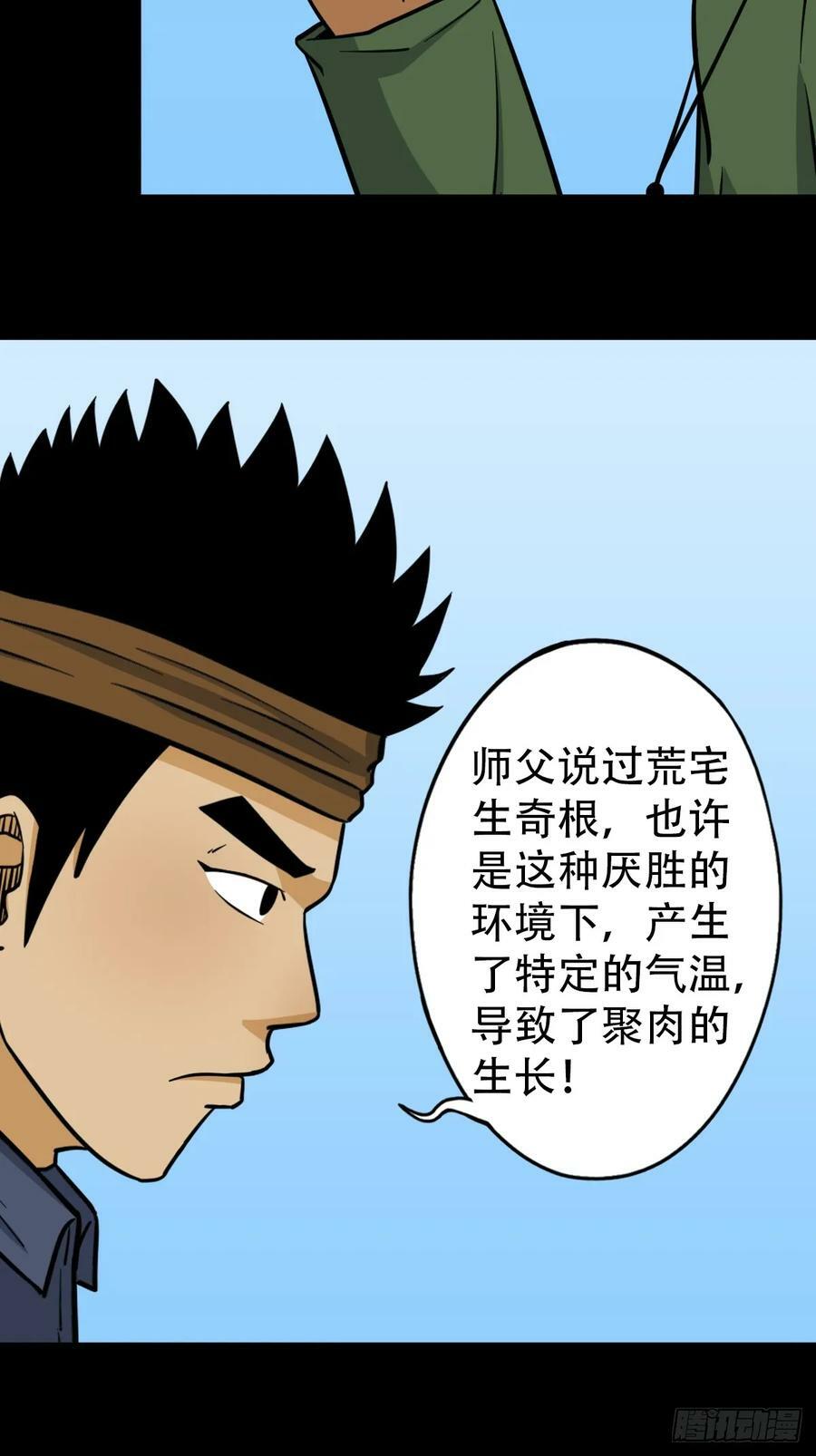 聚肉尸13