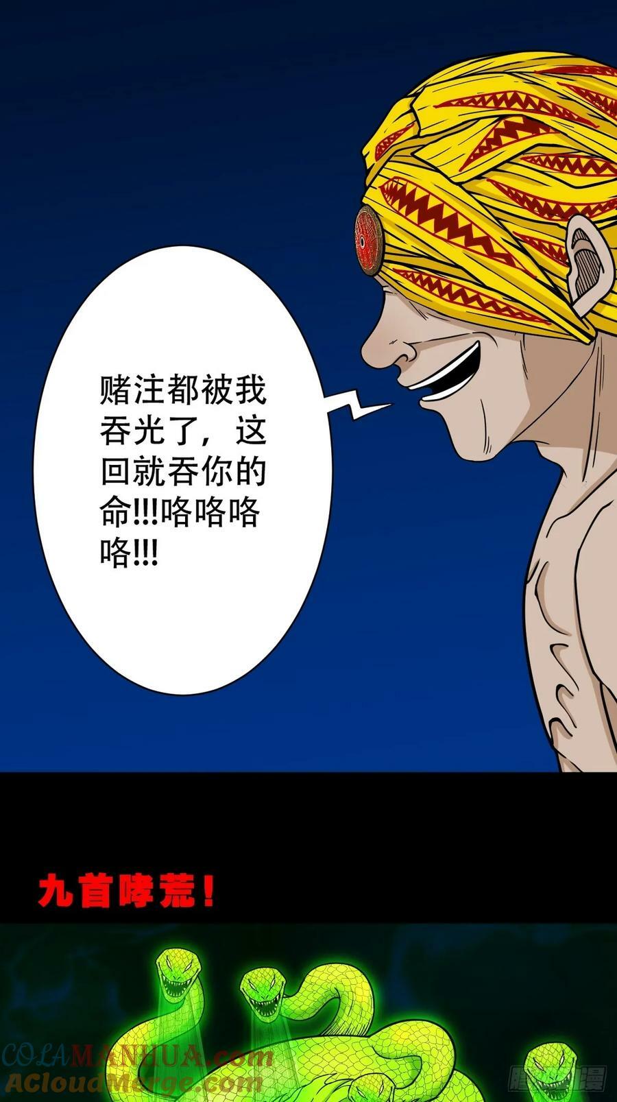 九首相柳33