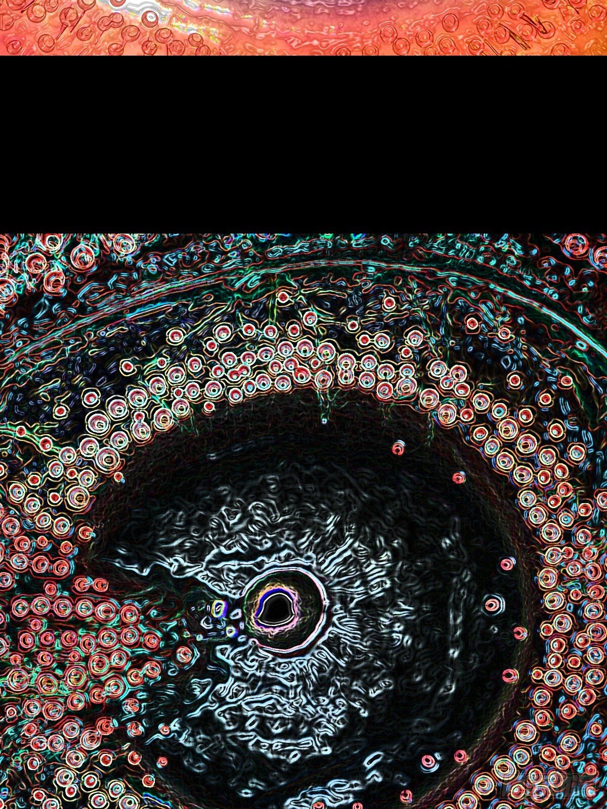 棱睁42