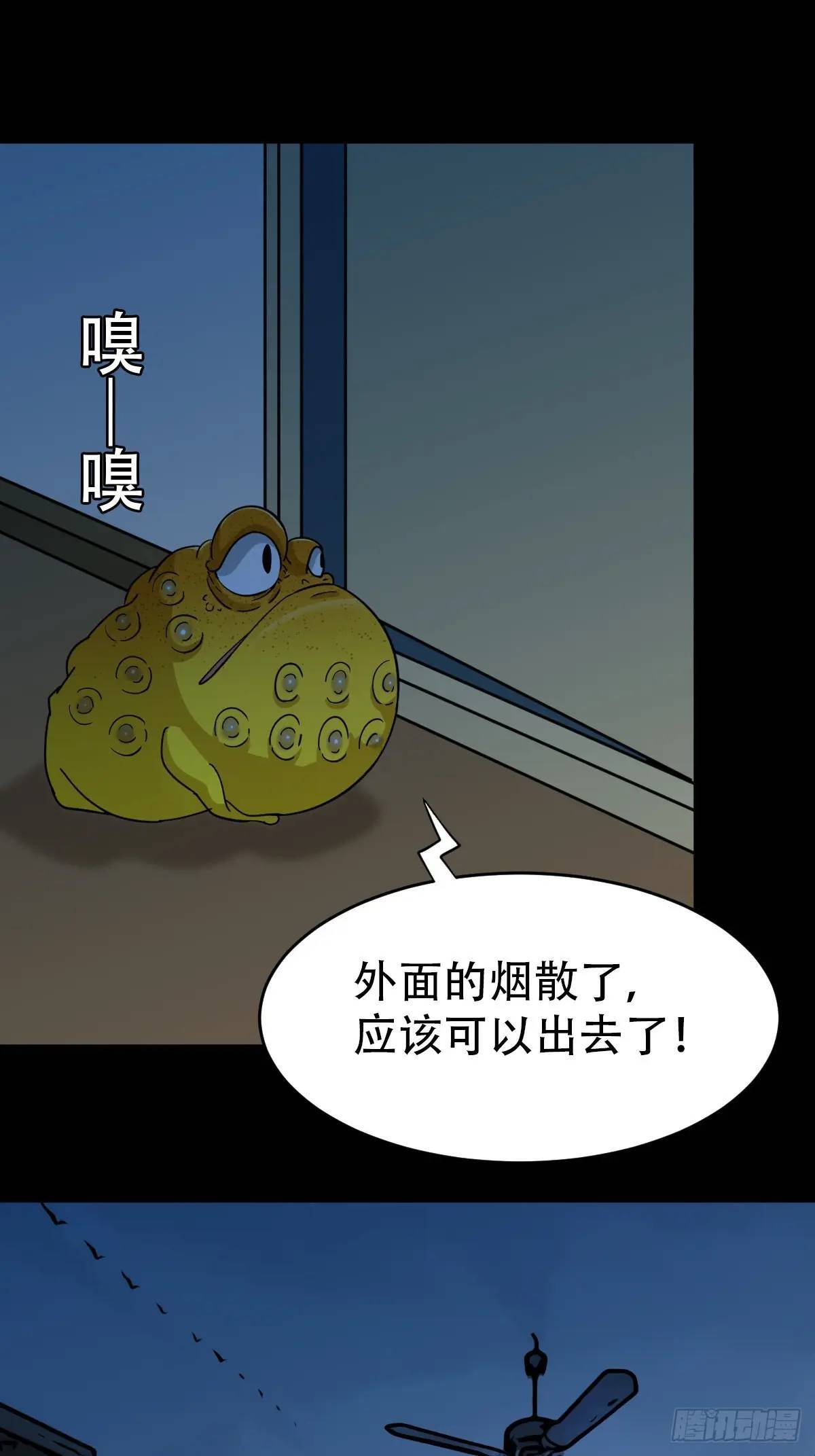 供牌37