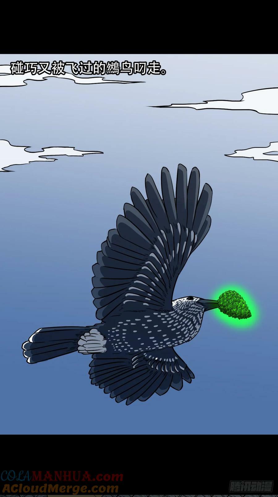 不老松9